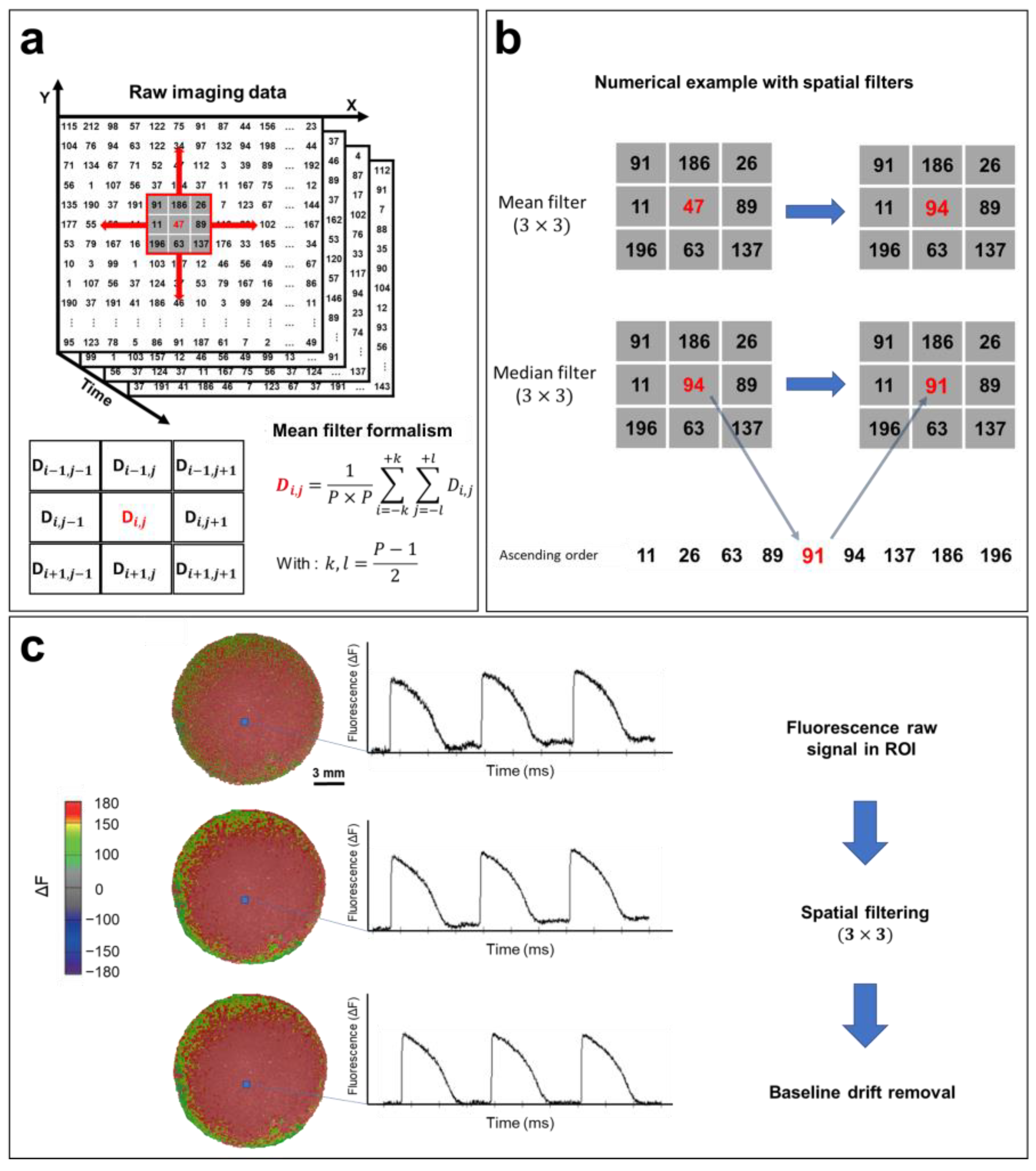 Cells 12 02168 g007 Cells 12 02168 g007