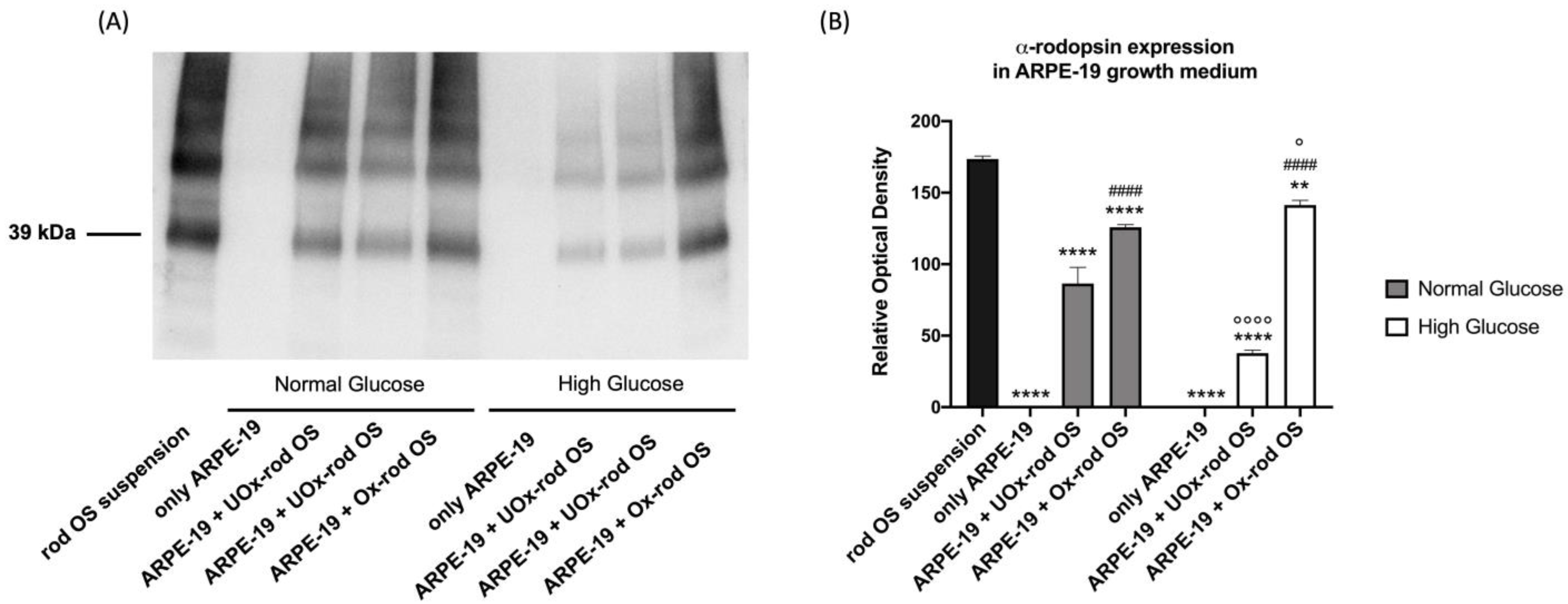 Cells 12 02173 g003 Cells 12 02173 g003