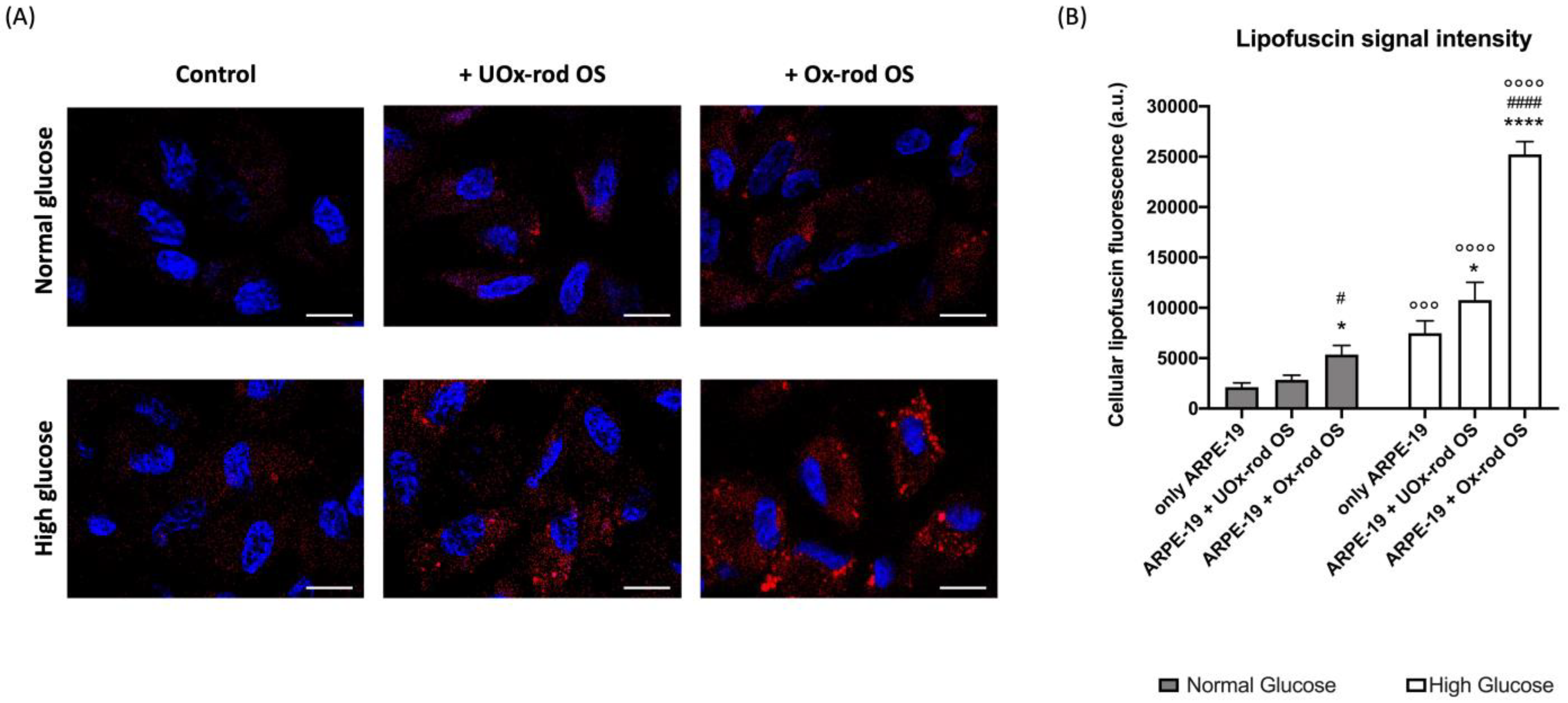 Cells 12 02173 g004 Cells 12 02173 g004