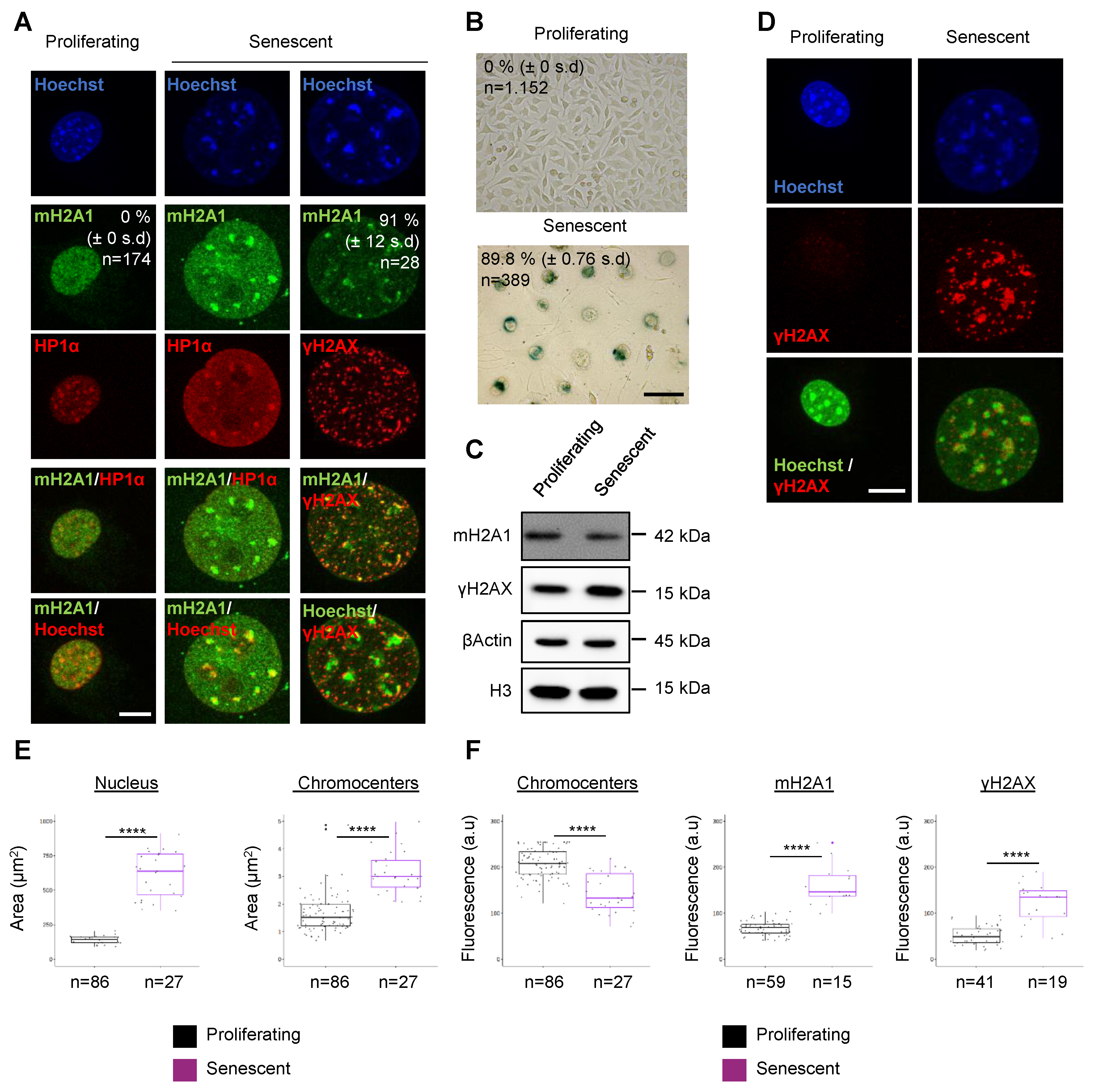 Cells 12 02175 g001 Cells 12 02175 g001