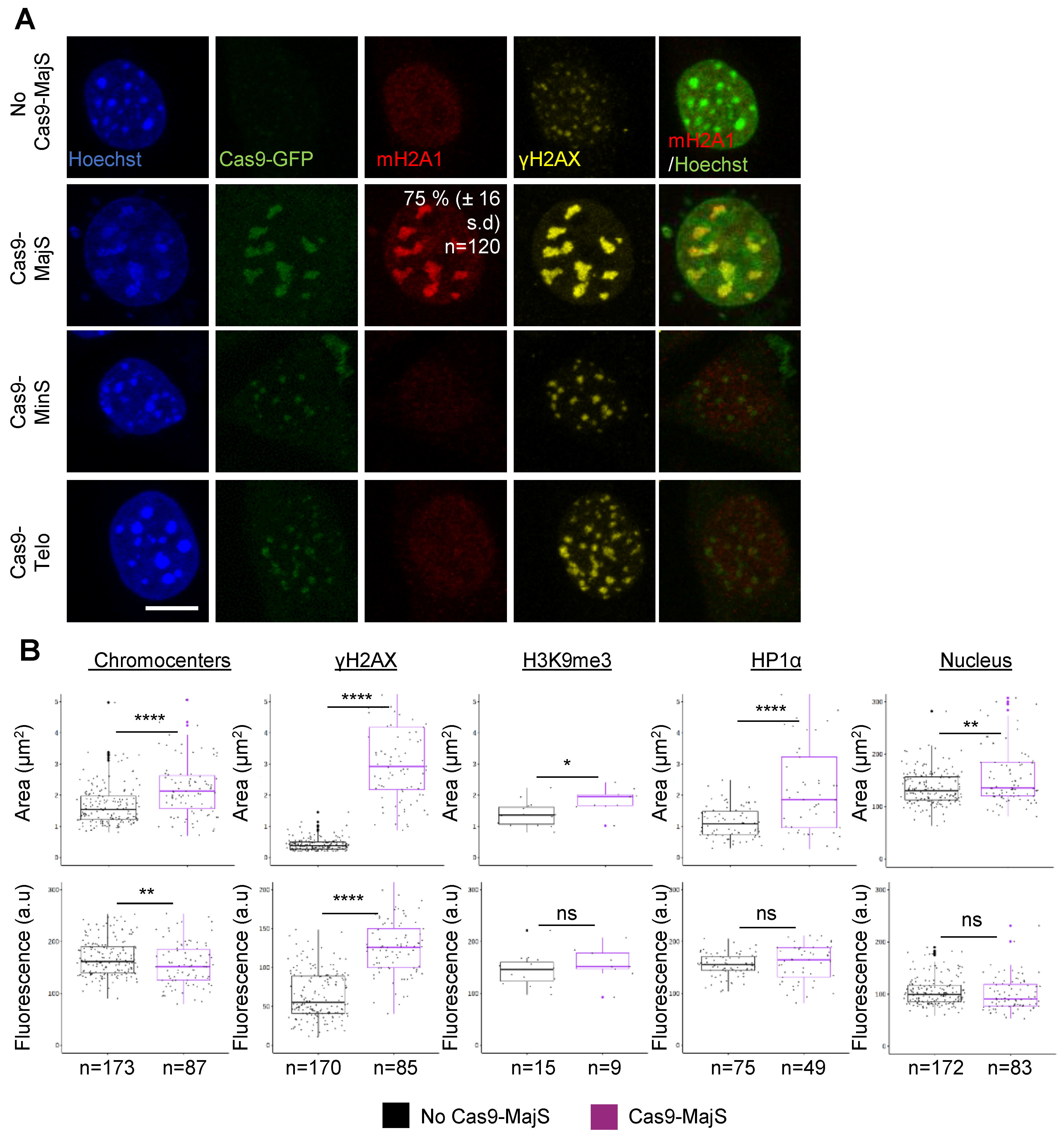 Cells 12 02175 g002 Cells 12 02175 g002
