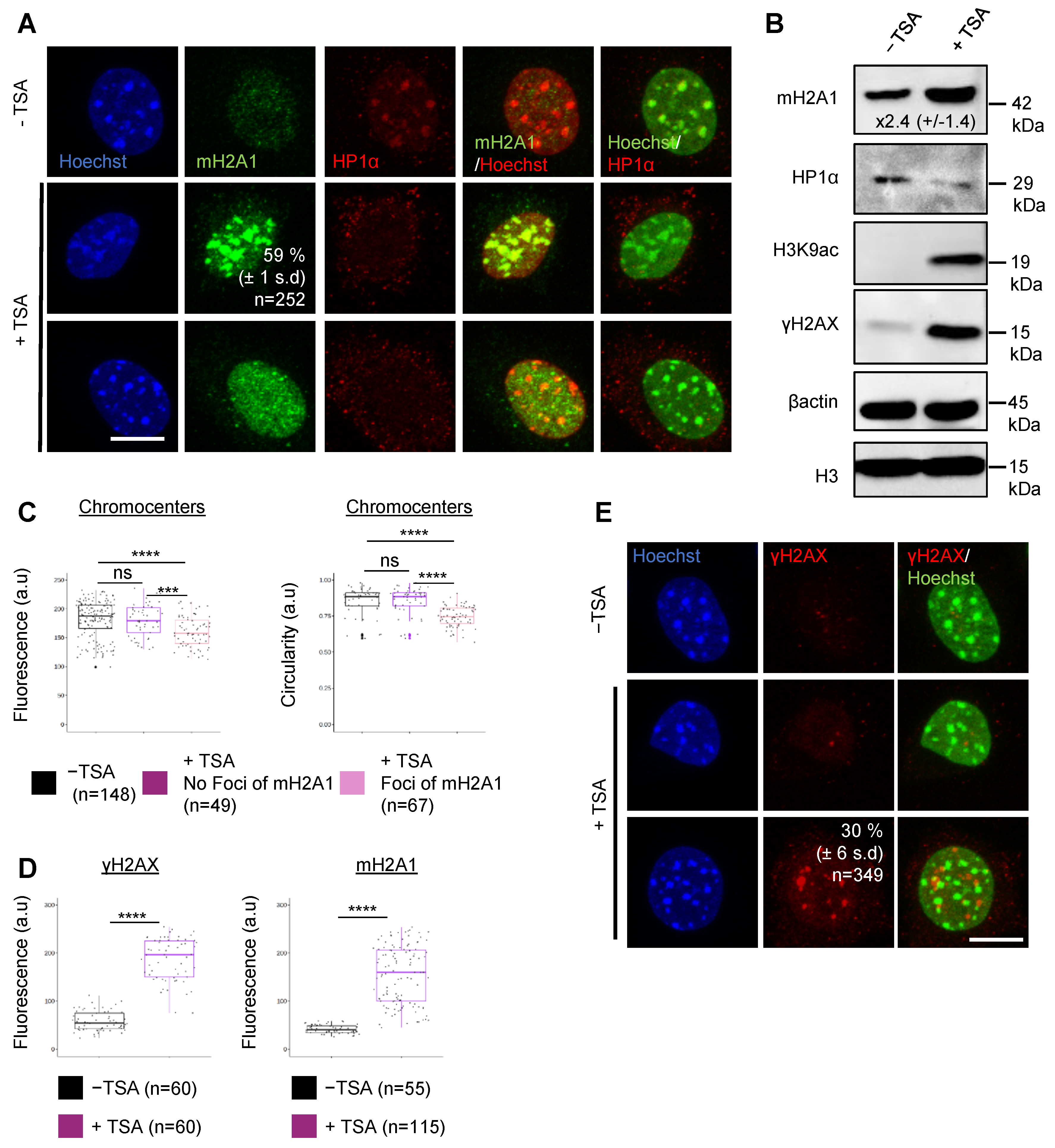 Cells 12 02175 g003 Cells 12 02175 g003