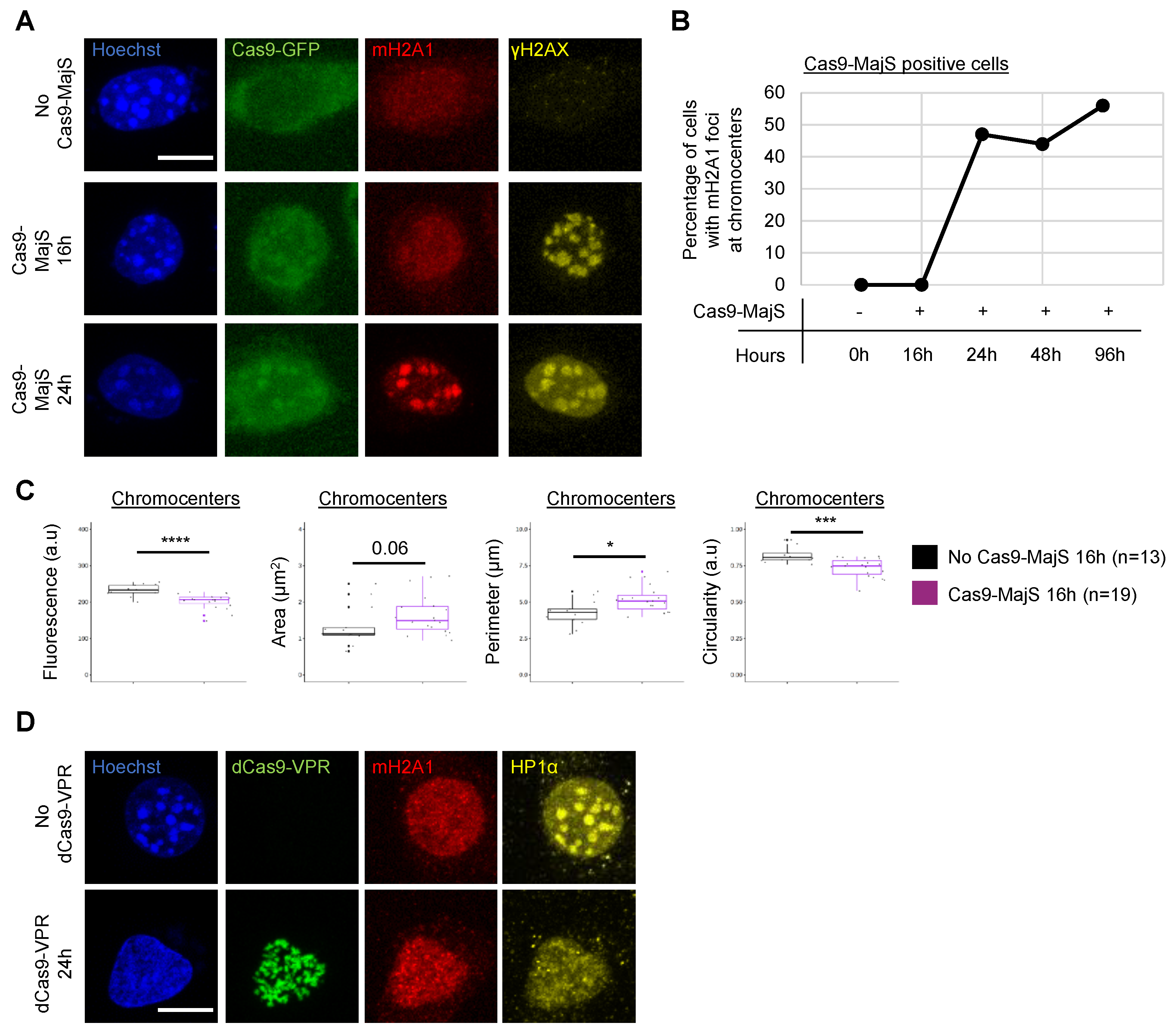 Cells 12 02175 g004 Cells 12 02175 g004