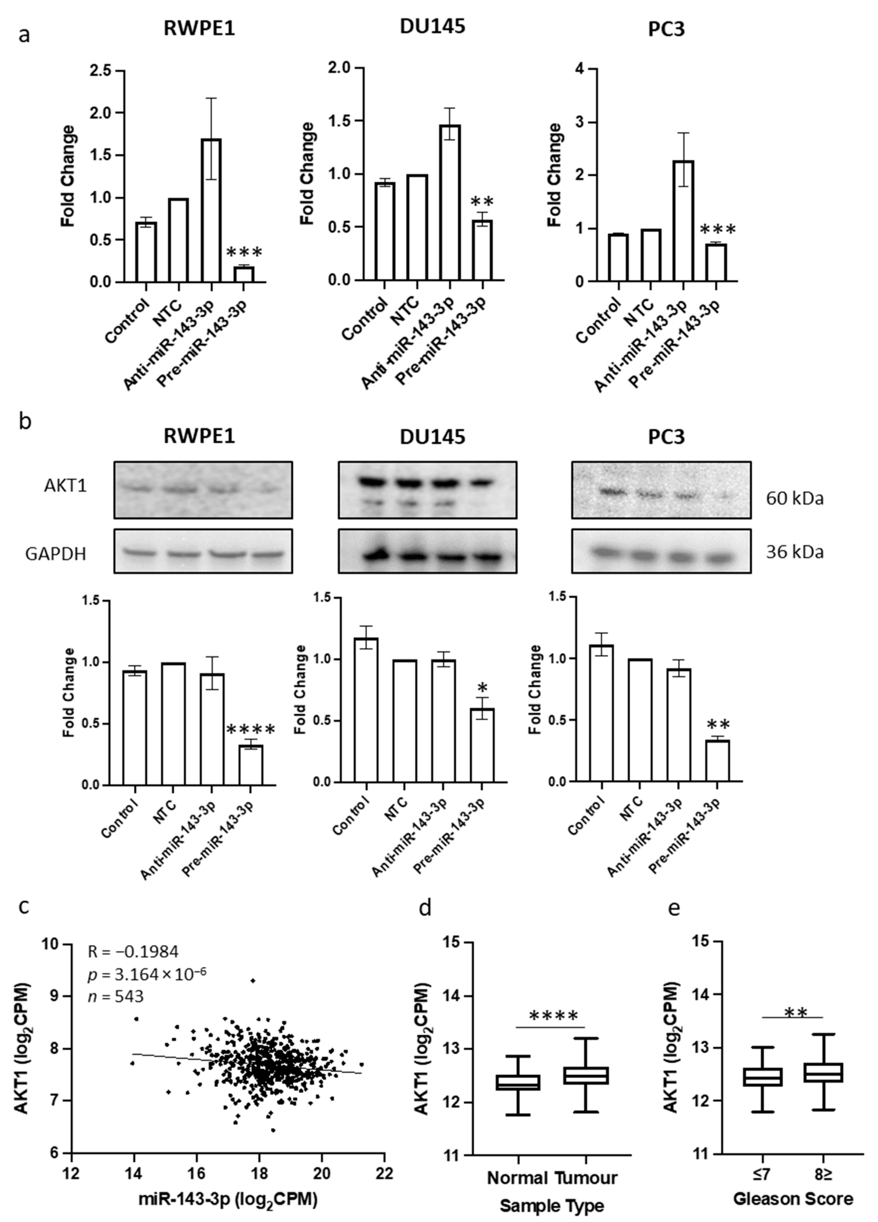 Cells 12 02207 g002 Cells 12 02207 g002