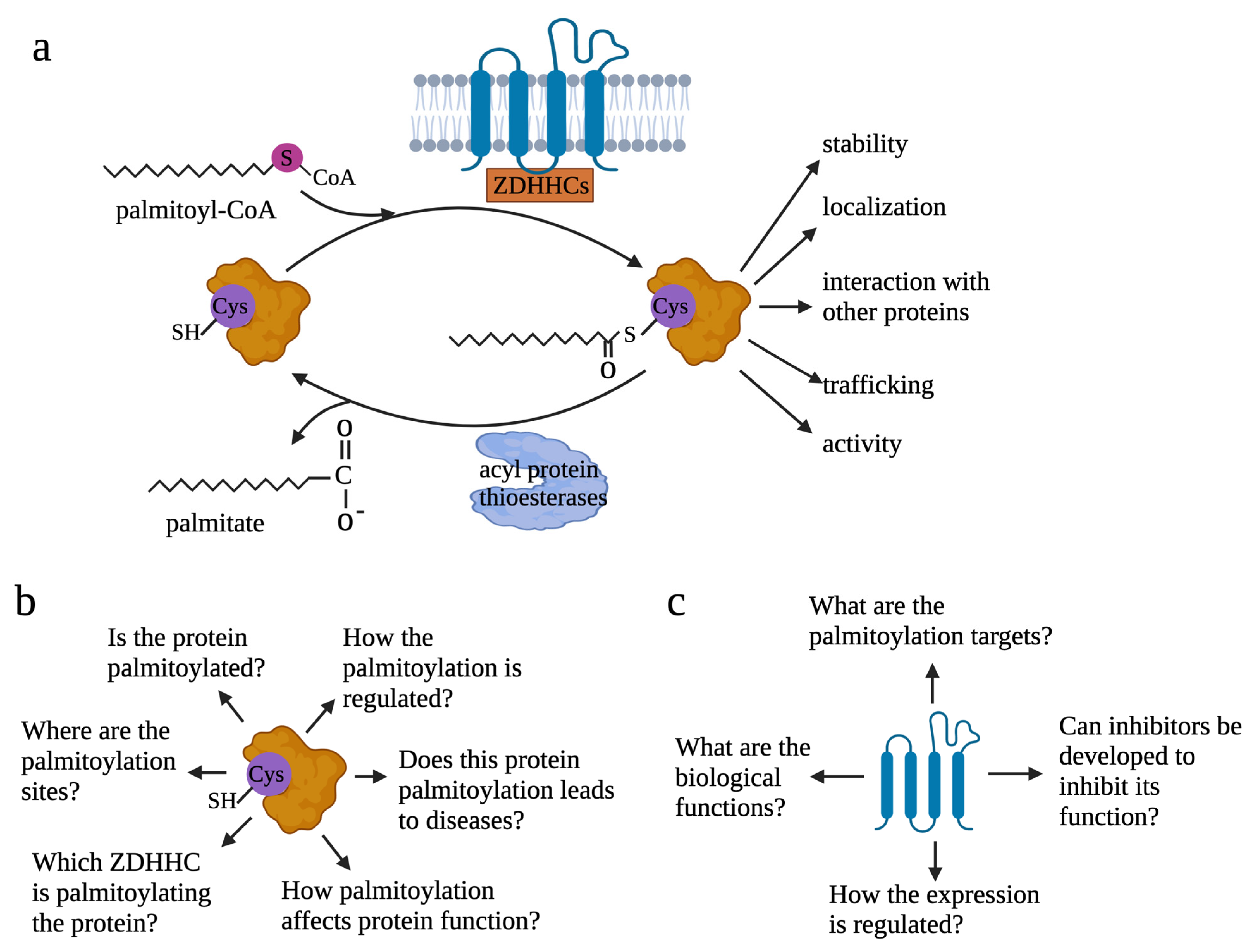 Cells 12 02209 g001 Cells 12 02209 g001