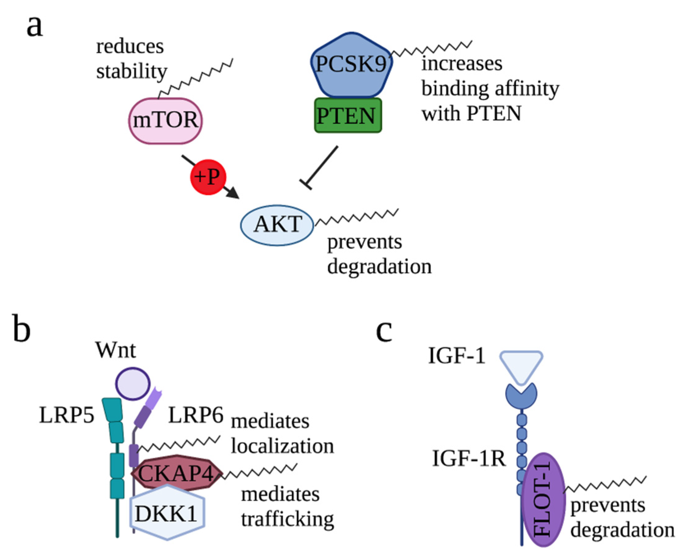 Cells 12 02209 g003 Cells 12 02209 g003
