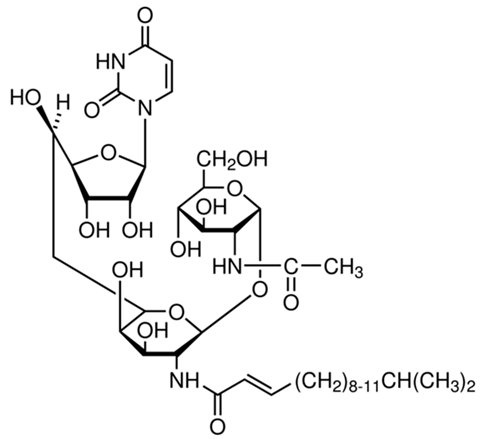 Cells 12 02209 i004 Cells 12 02209 i004