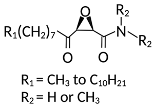 Cells 12 02209 i005 Cells 12 02209 i005