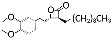 Cells 12 02209 i007 Cells 12 02209 i007