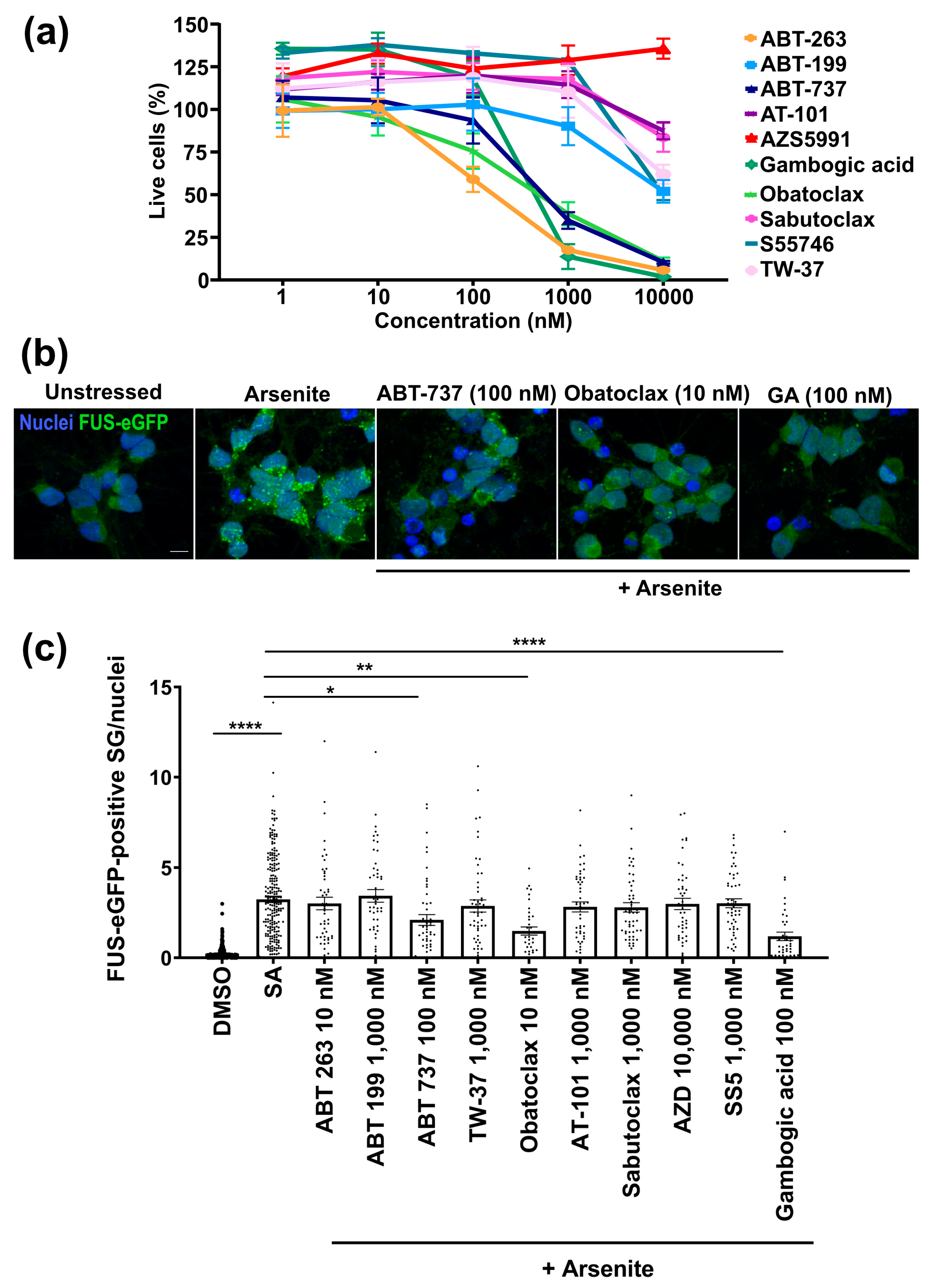 Cells 12 02247 g001 Cells 12 02247 g001