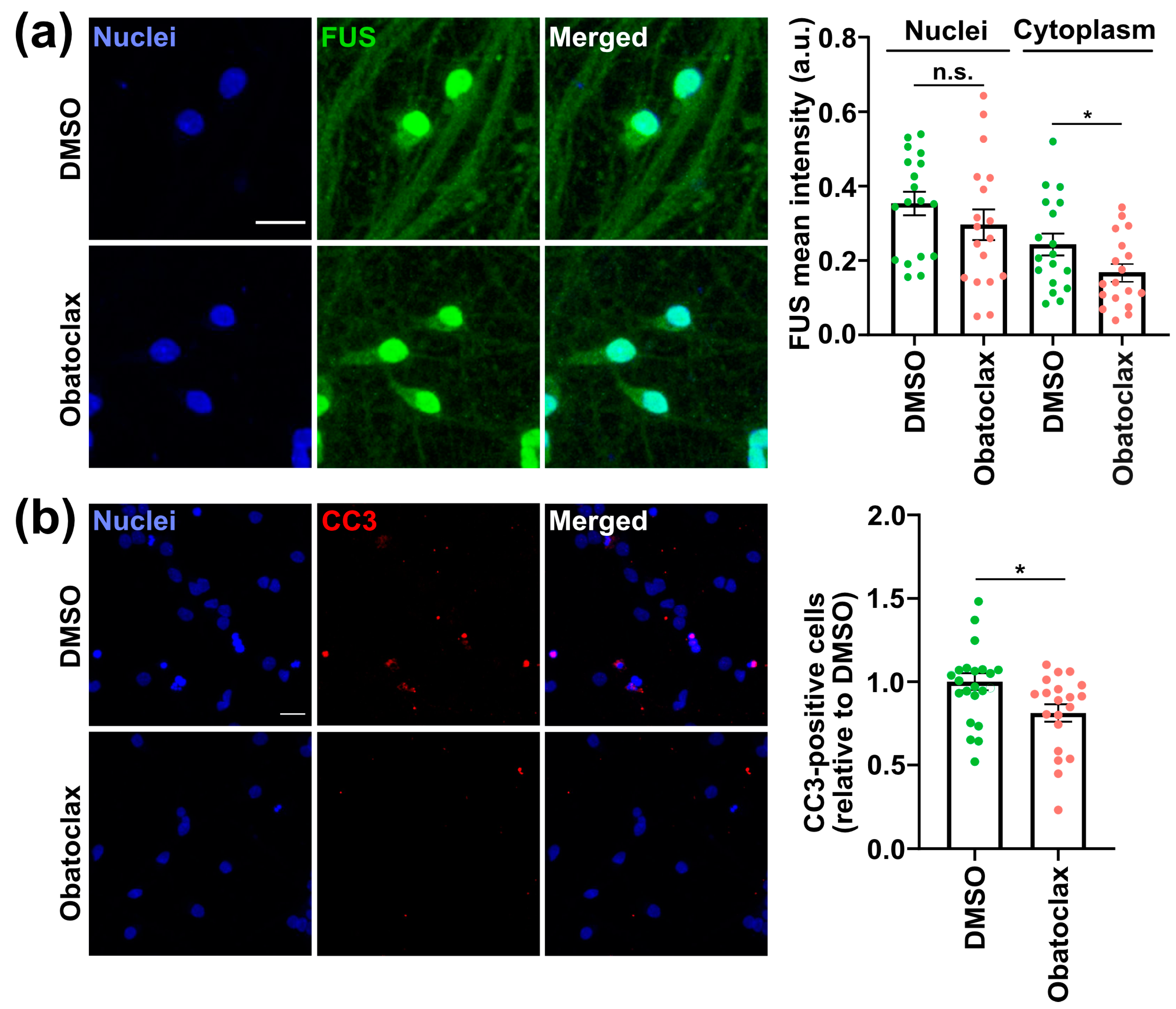 Cells 12 02247 g002 Cells 12 02247 g002