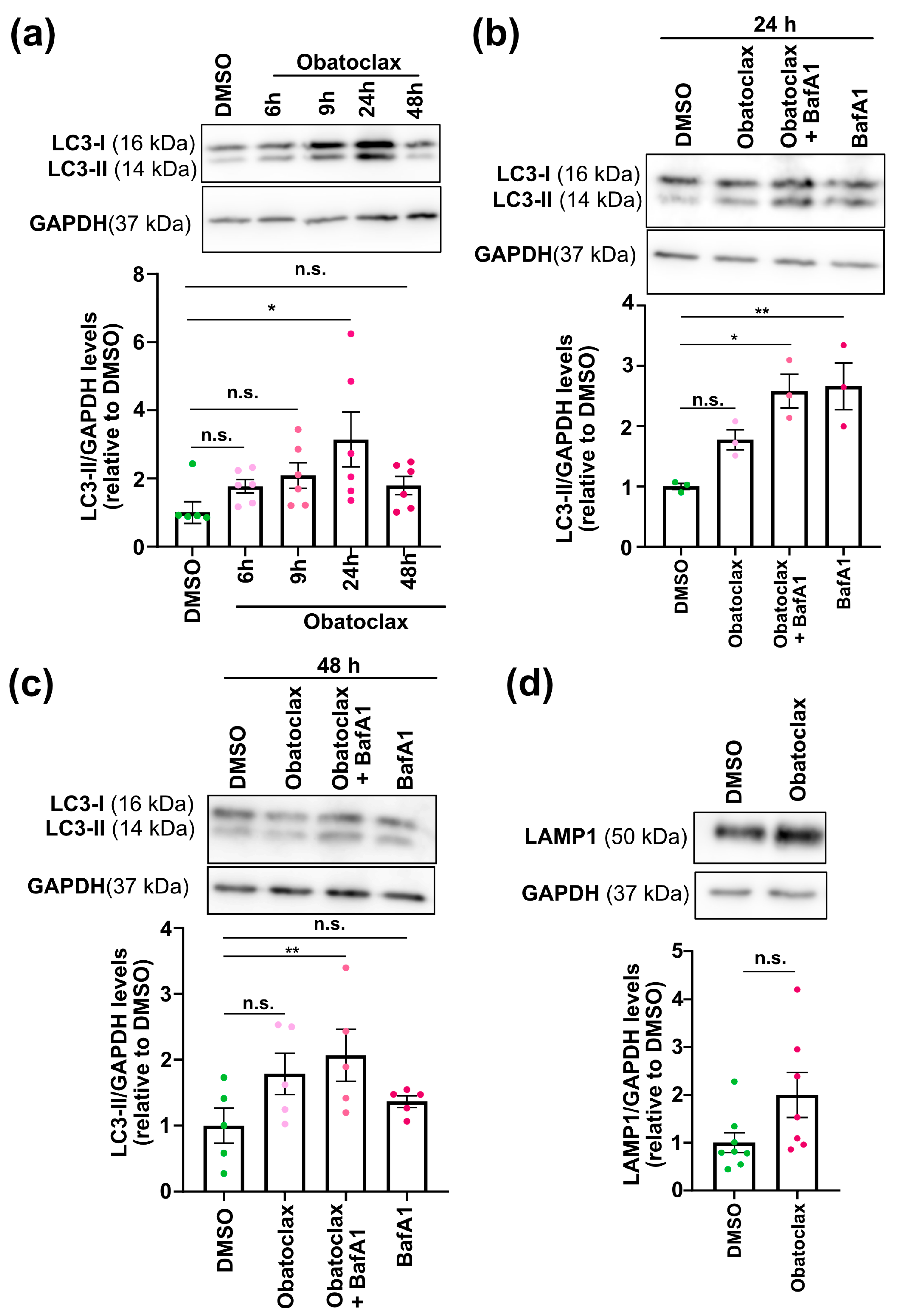 Cells 12 02247 g004 Cells 12 02247 g004