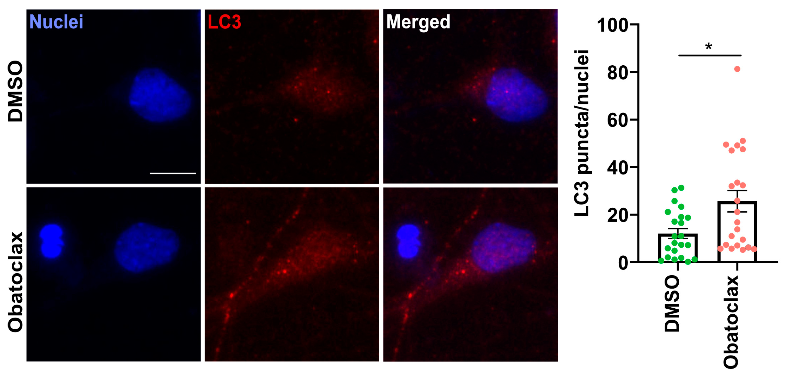 Cells 12 02247 g005 Cells 12 02247 g005