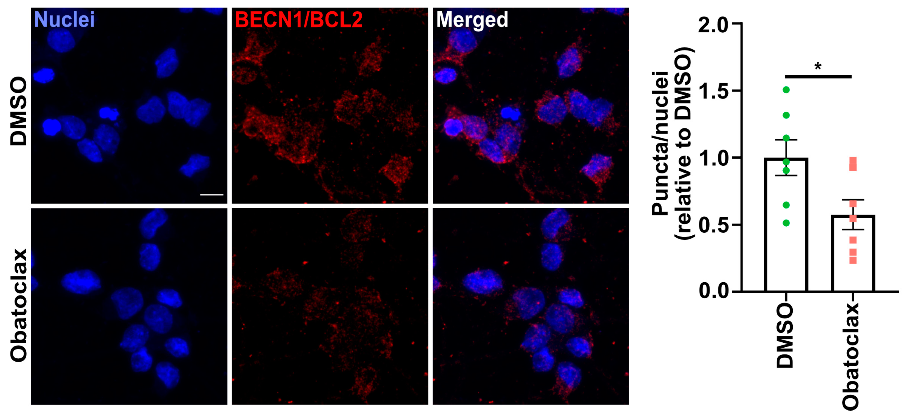 Cells 12 02247 g006 Cells 12 02247 g006