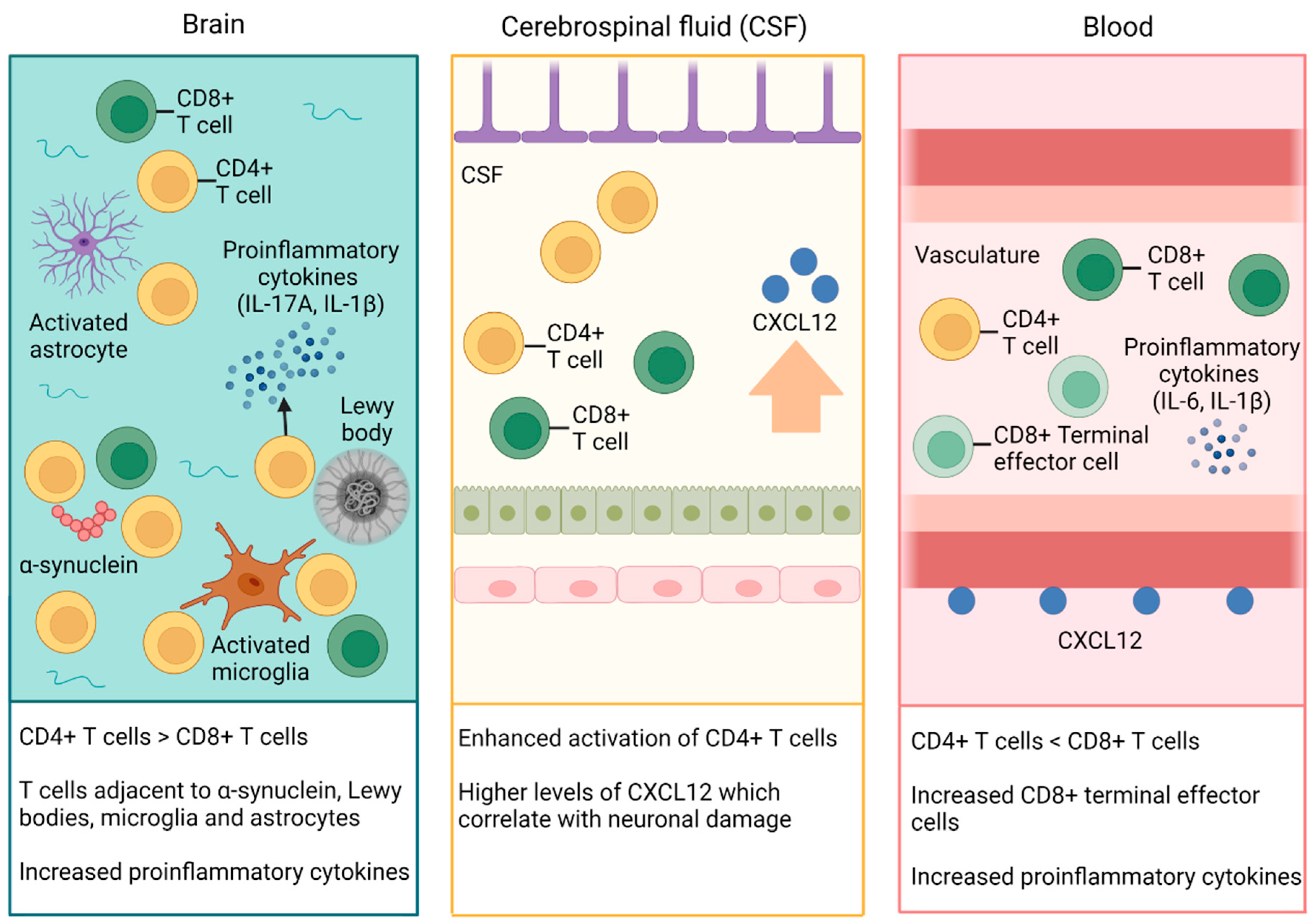 Cells 12 02283 g002 Cells 12 02283 g002