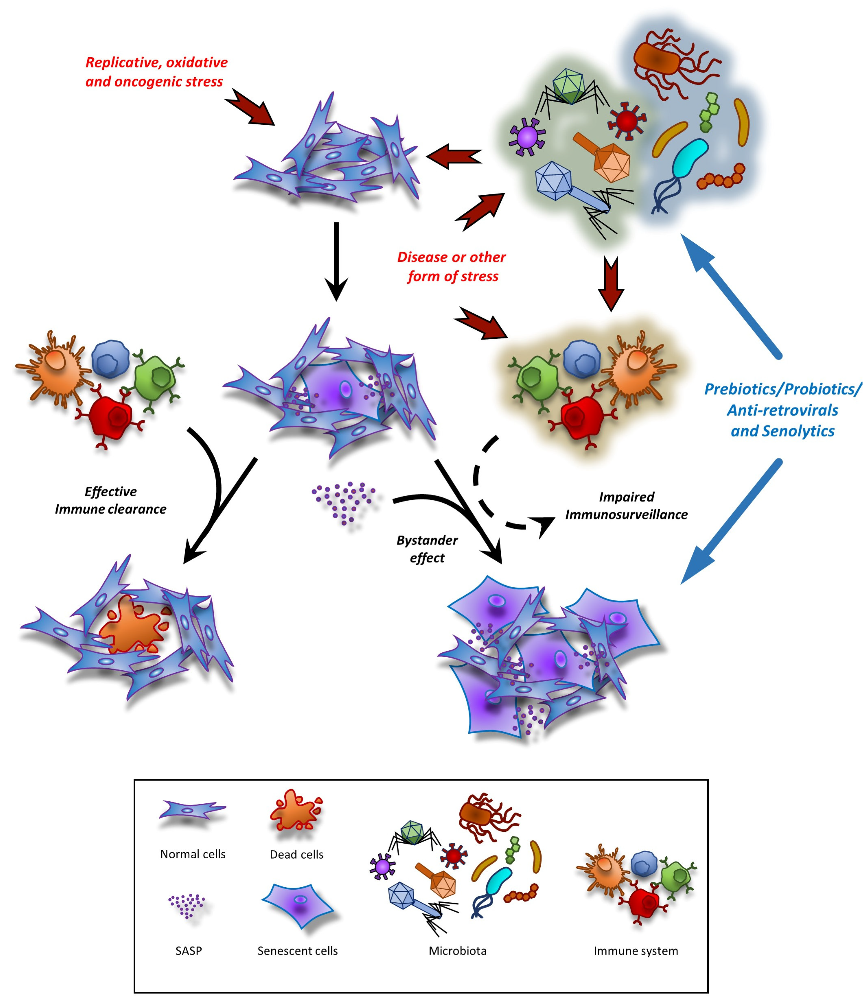 Cells 12 02287 g002 Cells 12 02287 g002