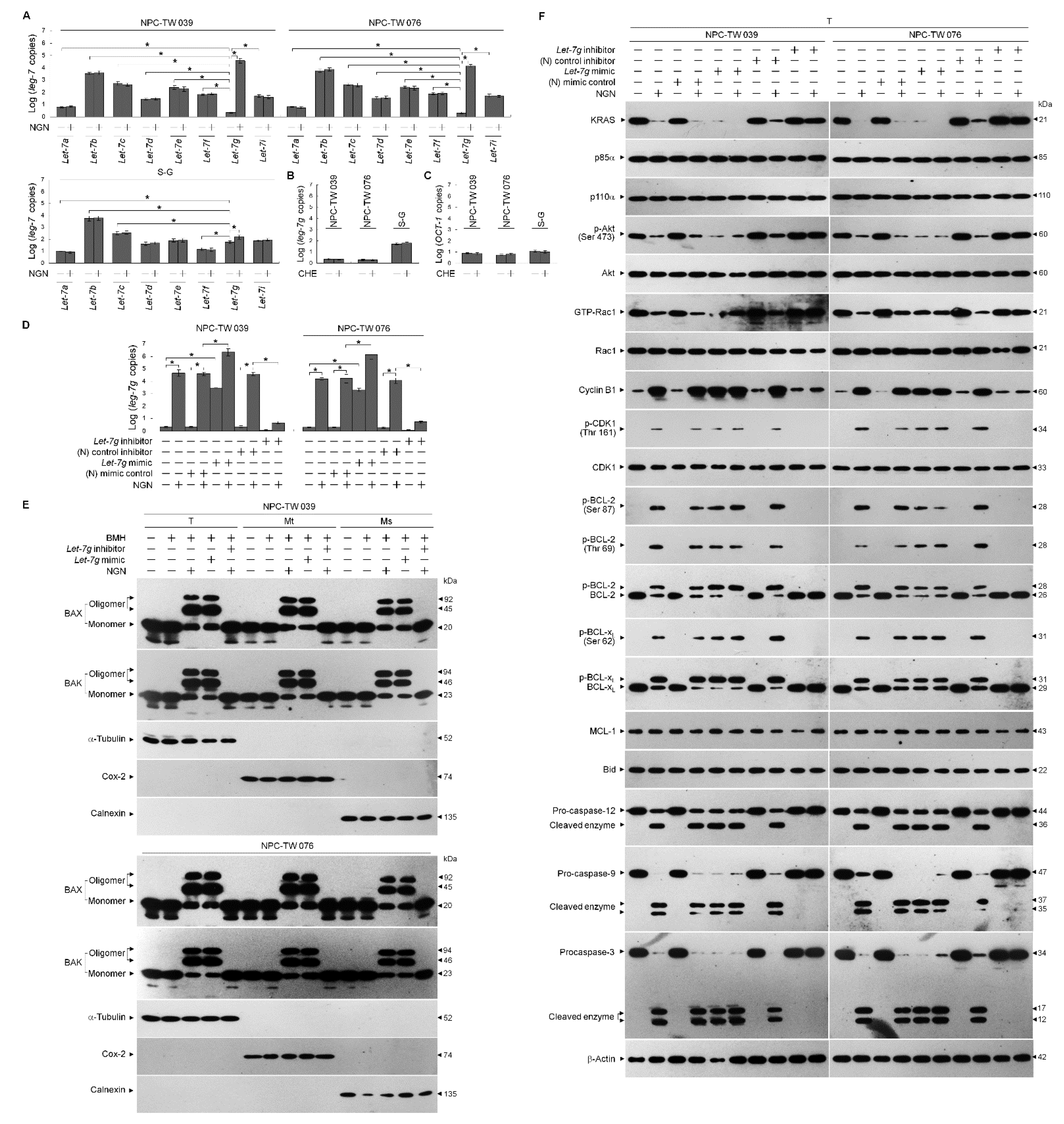 Cells 12 02313 g004a Cells 12 02313 g004a