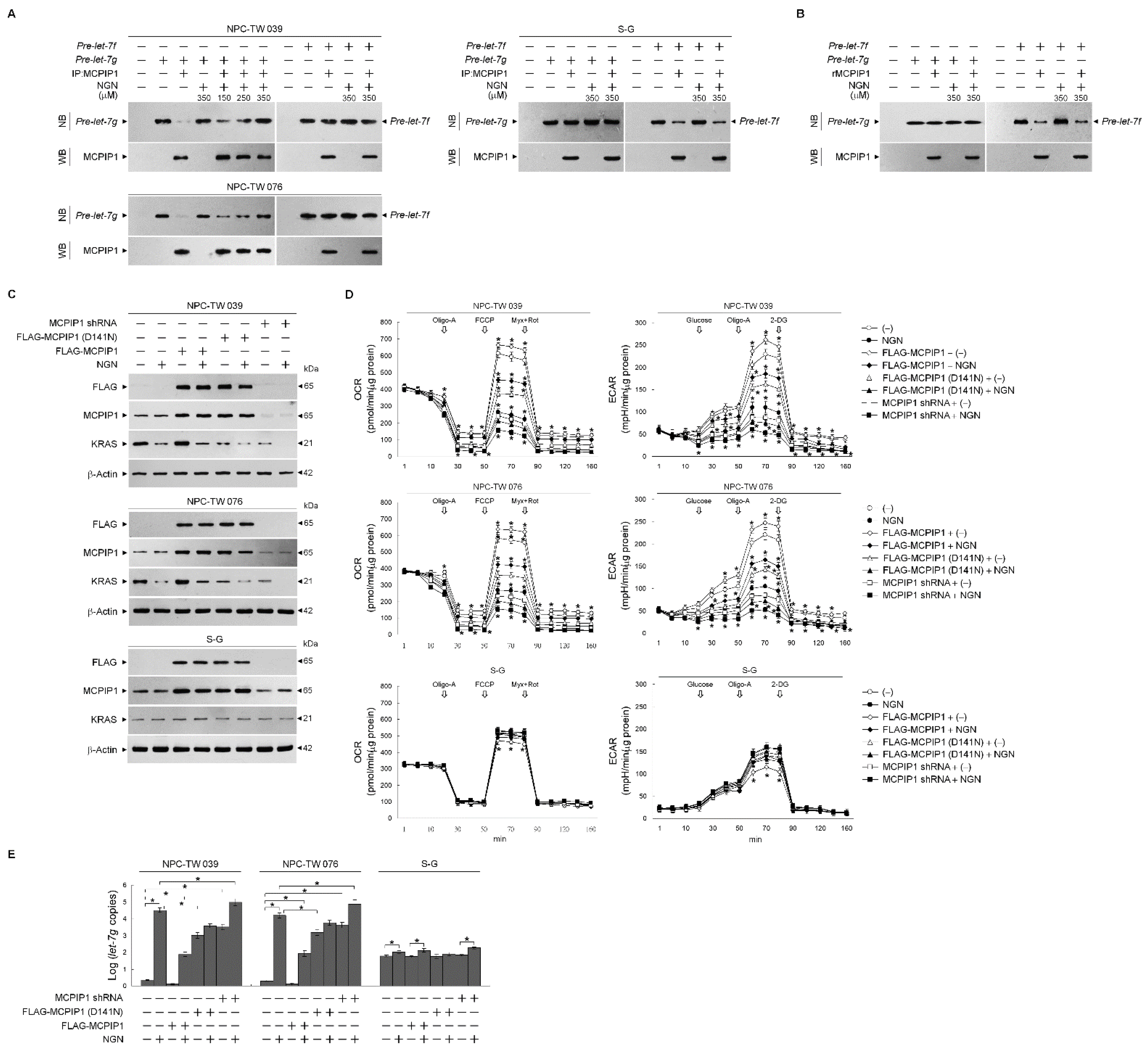 Cells 12 02313 g006 Cells 12 02313 g006