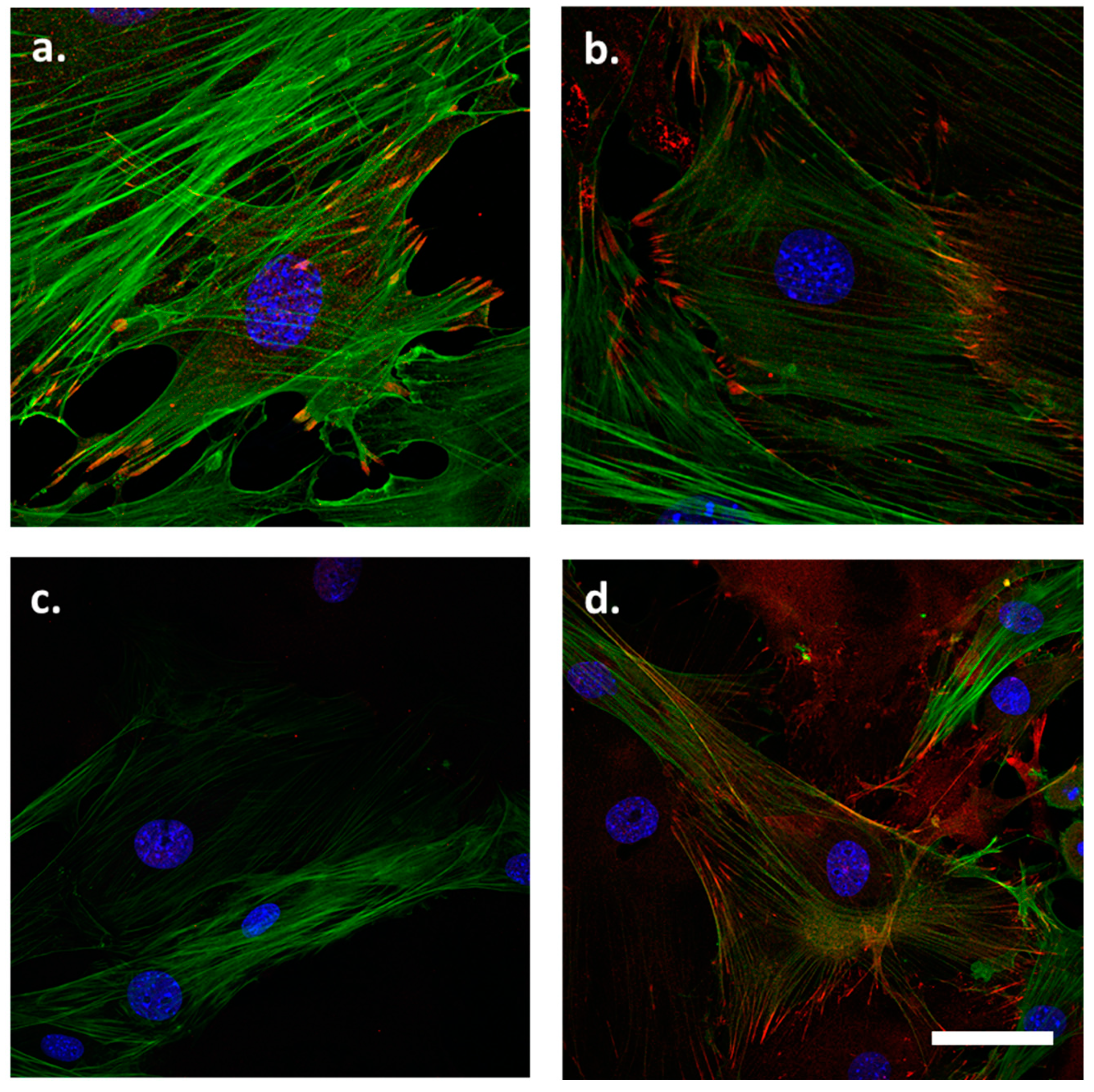 Cells 12 02315 g001 Cells 12 02315 g001