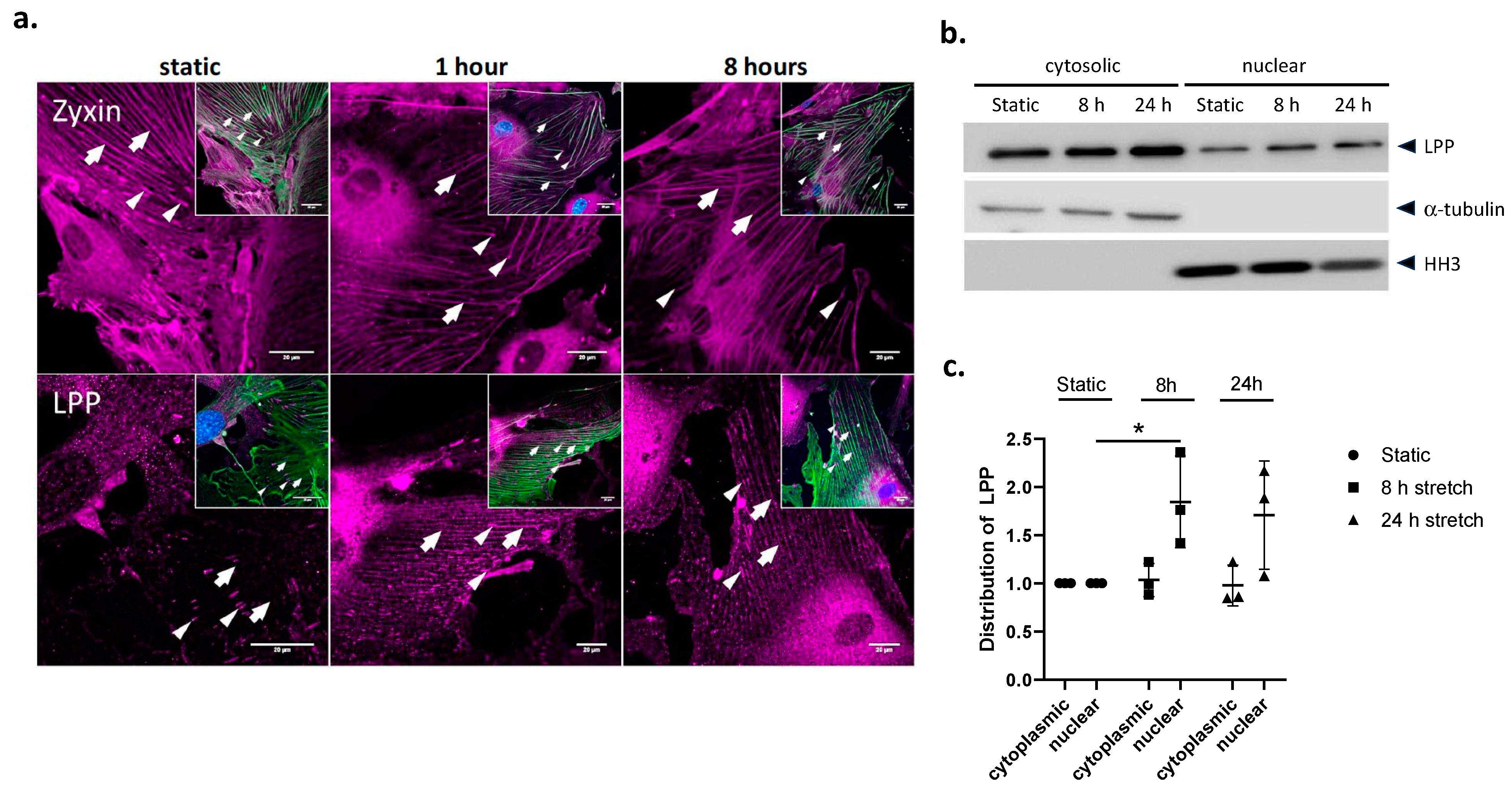 Cells 12 02315 g002 Cells 12 02315 g002