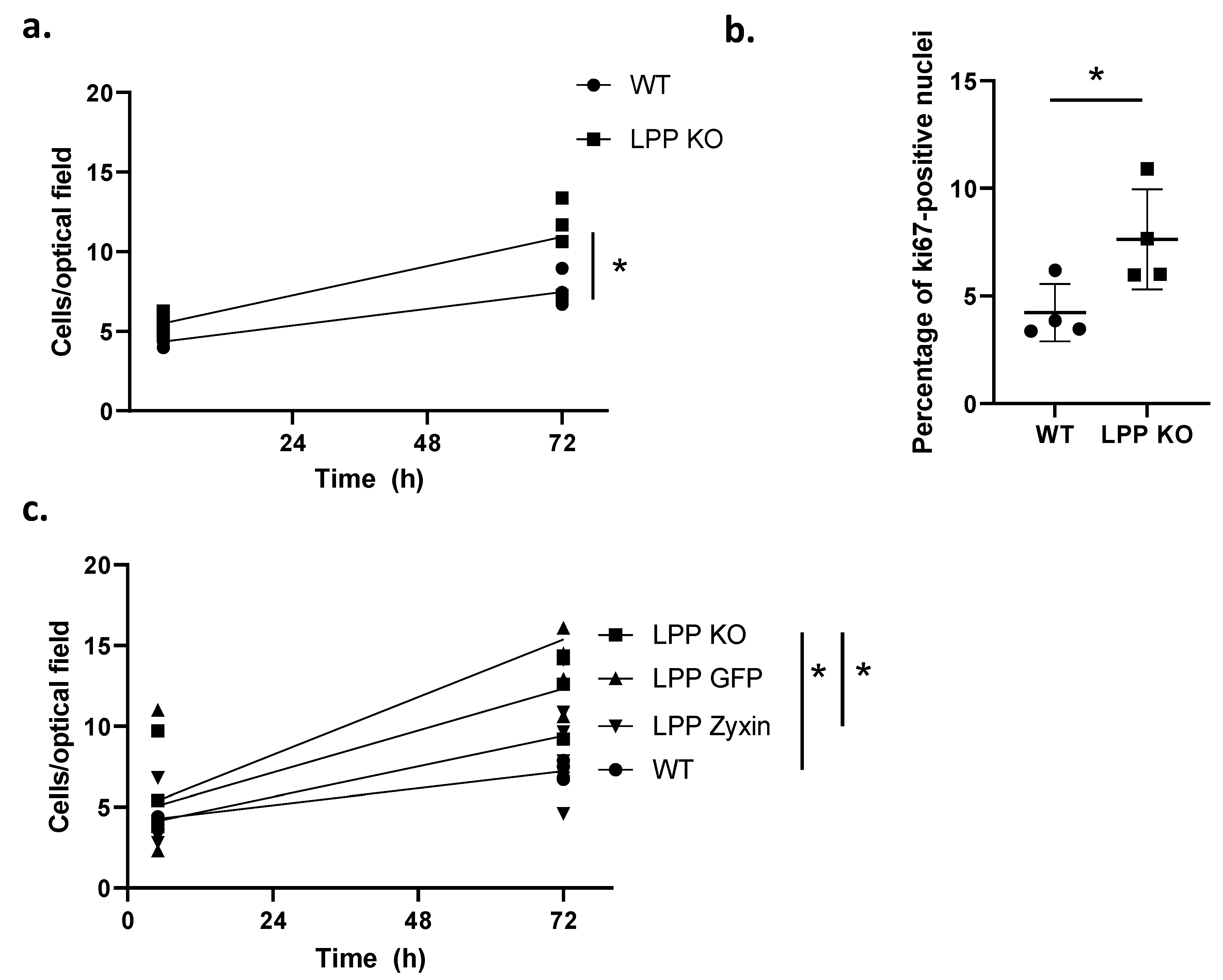 Cells 12 02315 g003 Cells 12 02315 g003