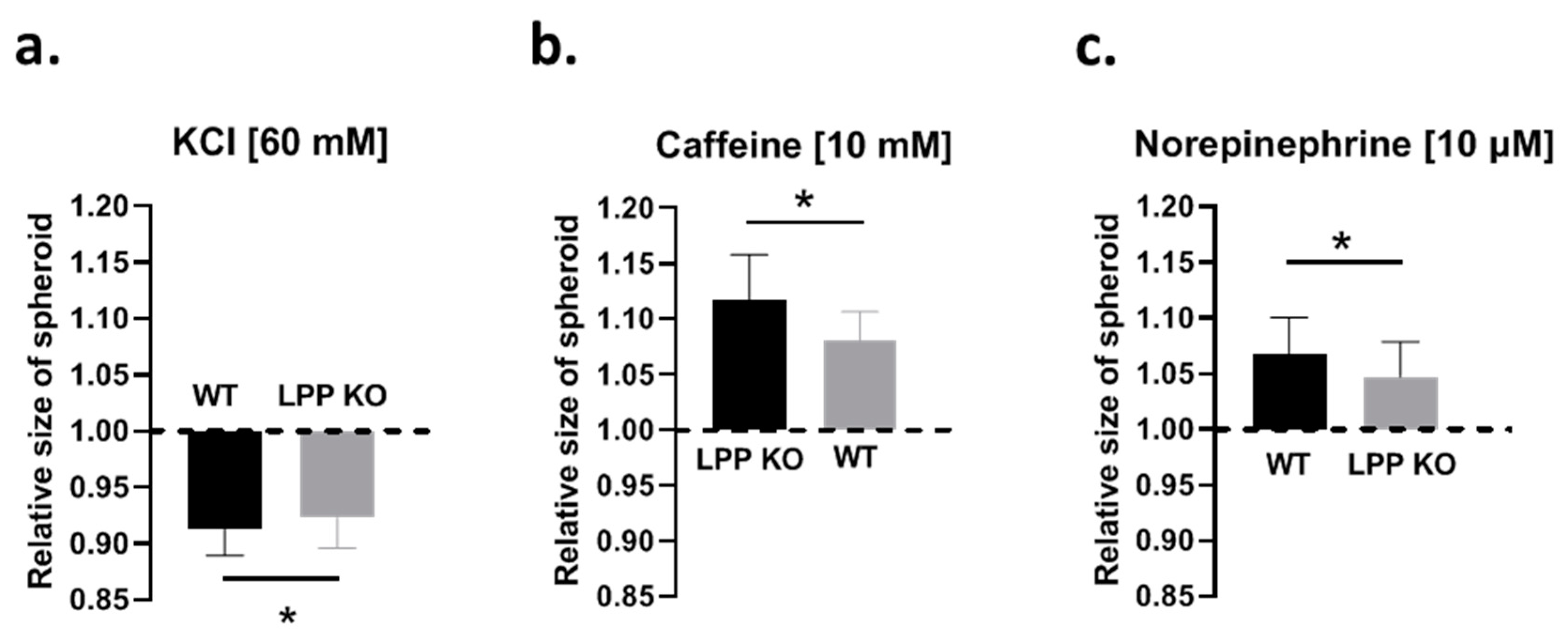 Cells 12 02315 g005 Cells 12 02315 g005