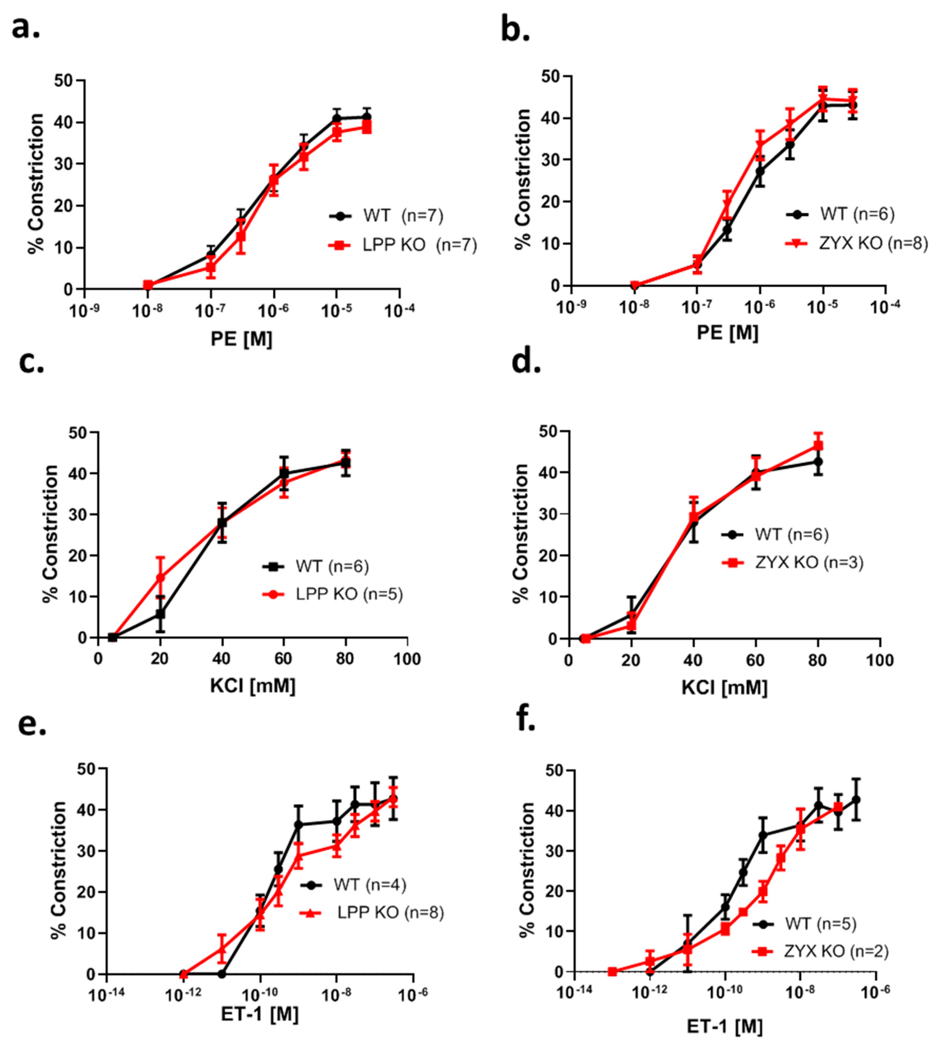 Cells 12 02315 g007 Cells 12 02315 g007