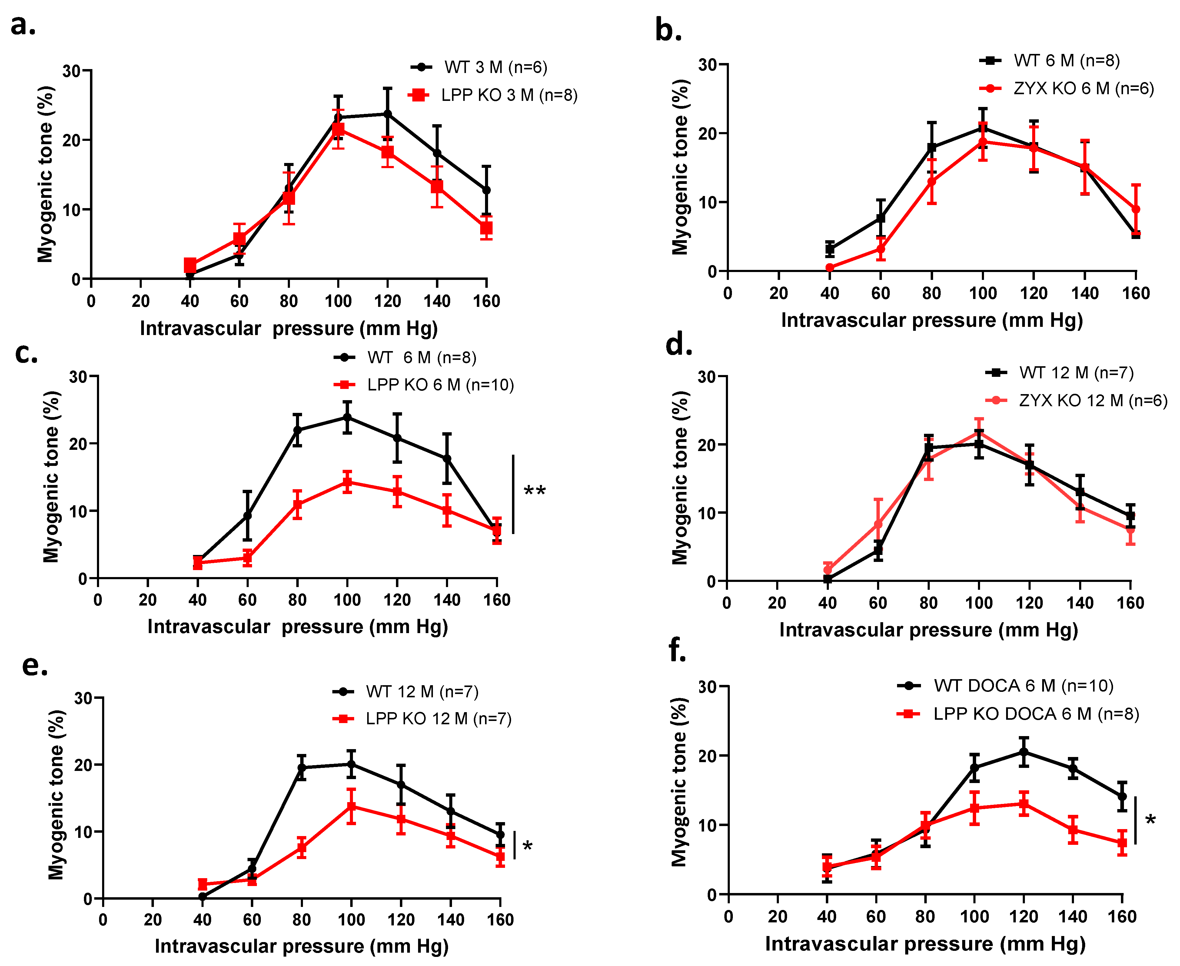 Cells 12 02315 g008 Cells 12 02315 g008