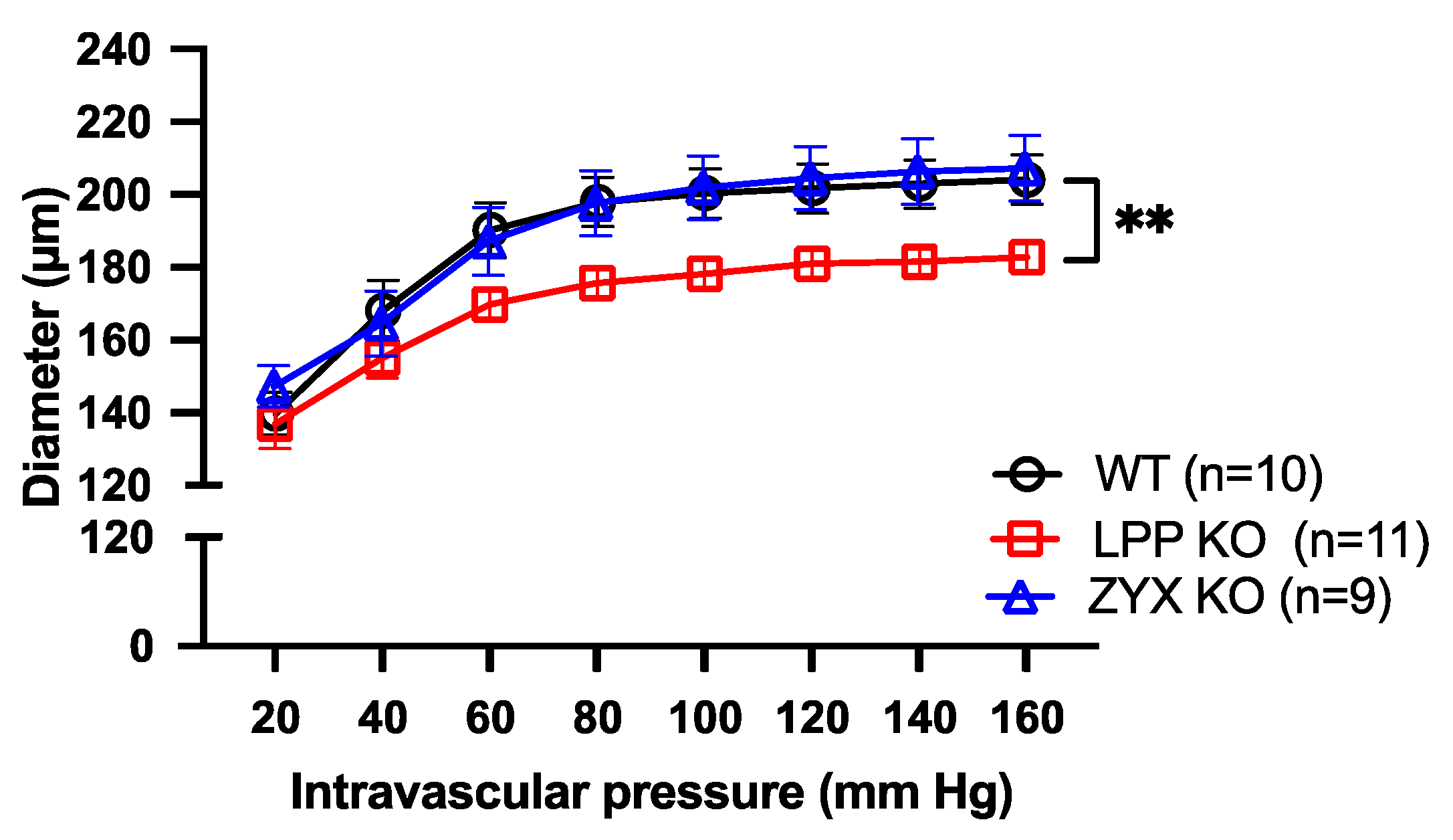 Cells 12 02315 g010 Cells 12 02315 g010