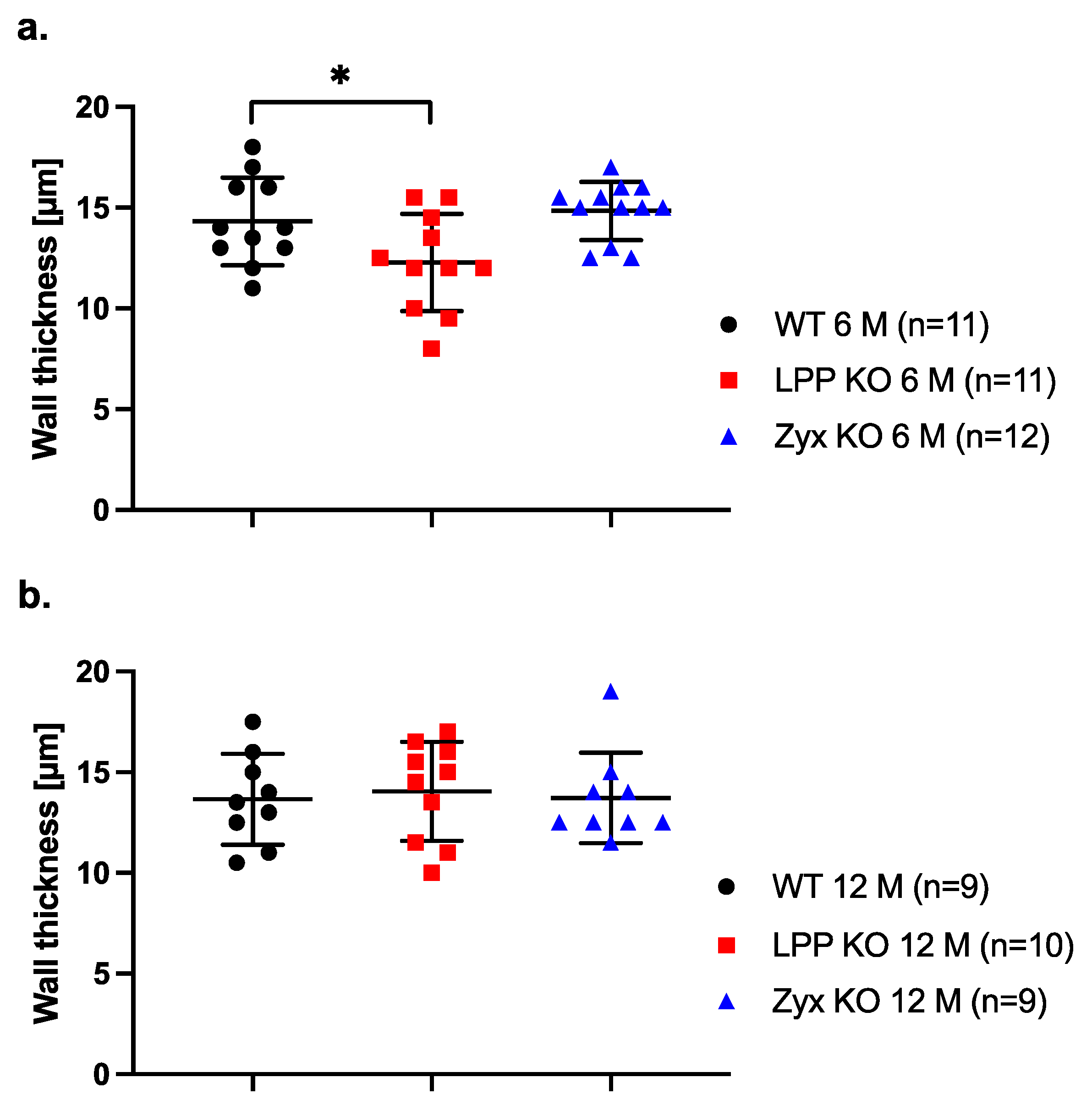 Cells 12 02315 g011 Cells 12 02315 g011