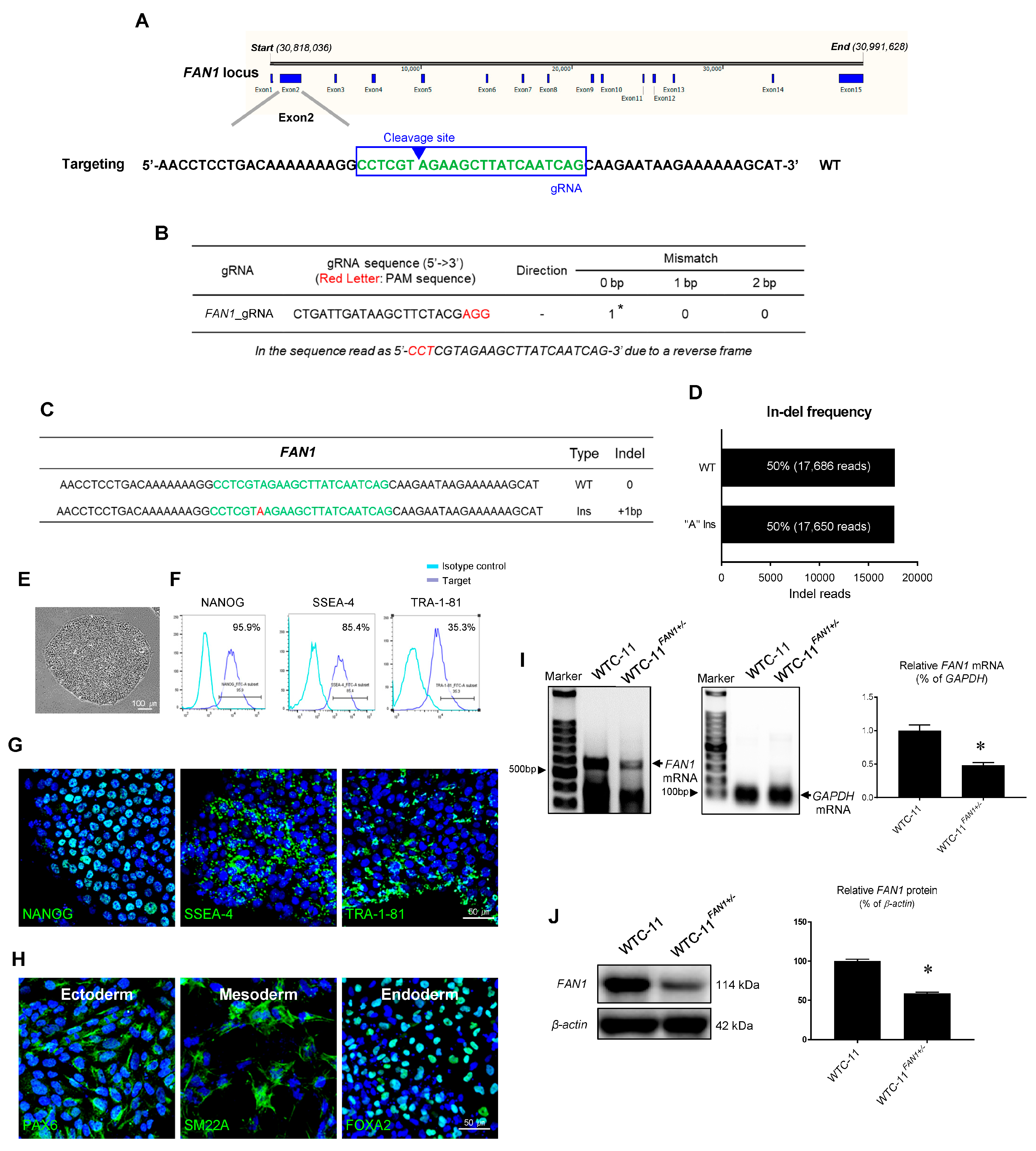 Cells 12 02319 g002 Cells 12 02319 g002