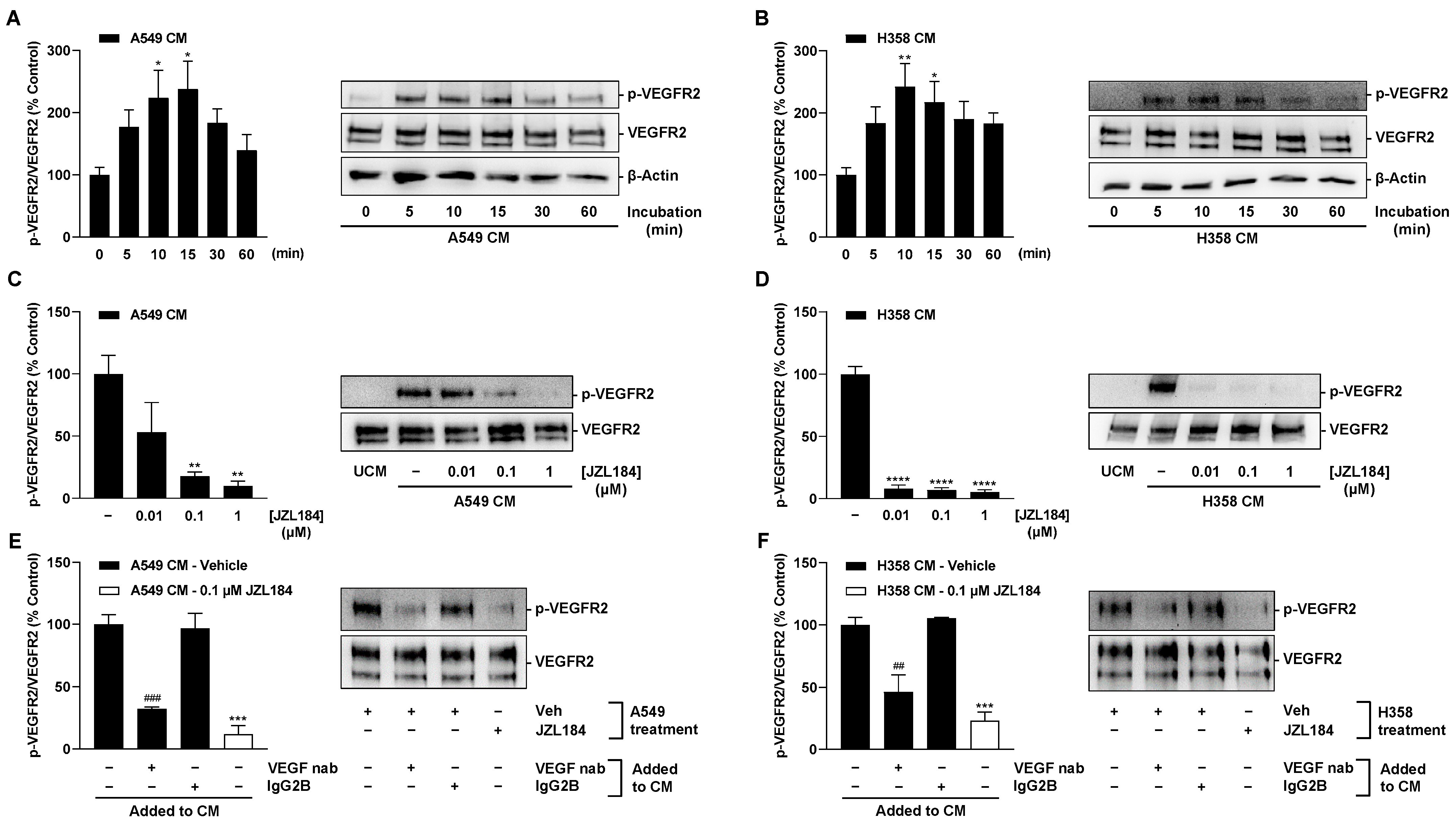 Cells 12 02332 g008