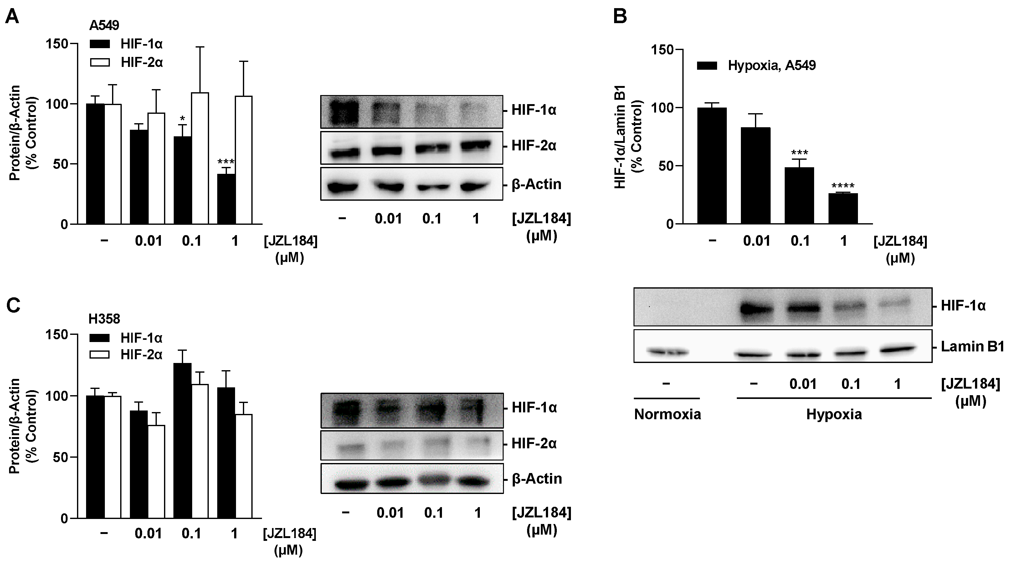 Cells 12 02332 g011