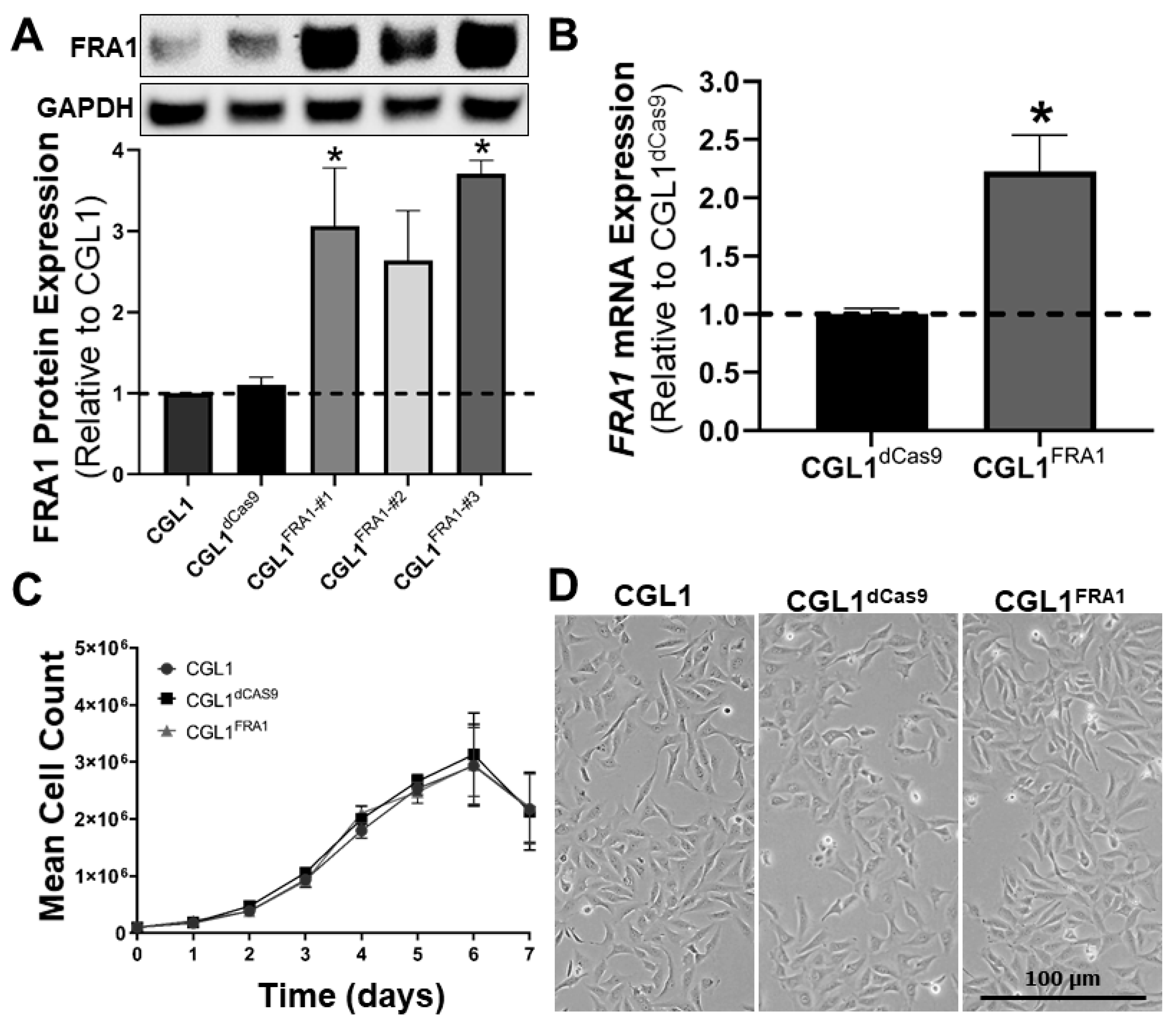 Cells 12 02344 g001 Cells 12 02344 g001