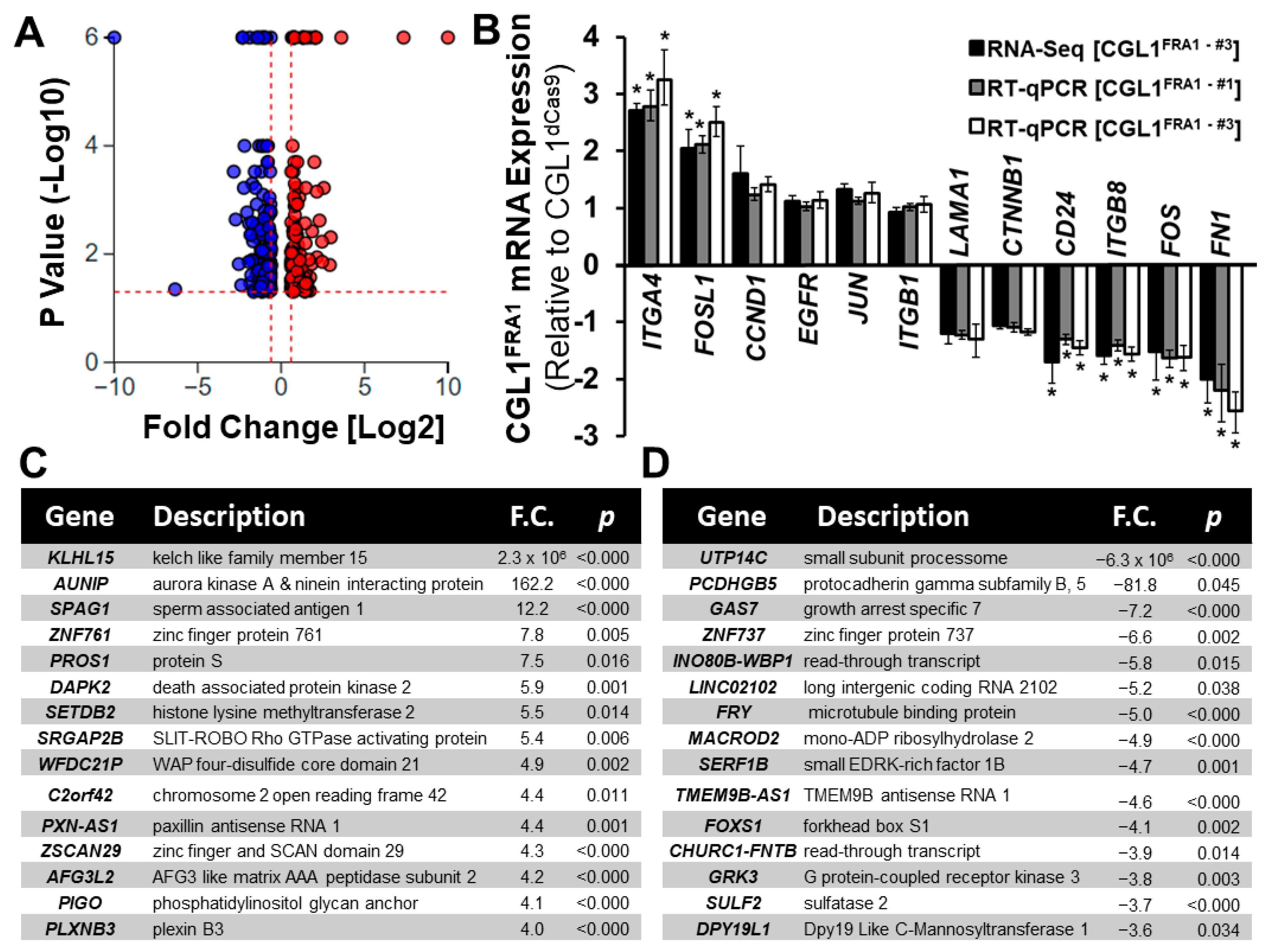 Cells 12 02344 g002 Cells 12 02344 g002