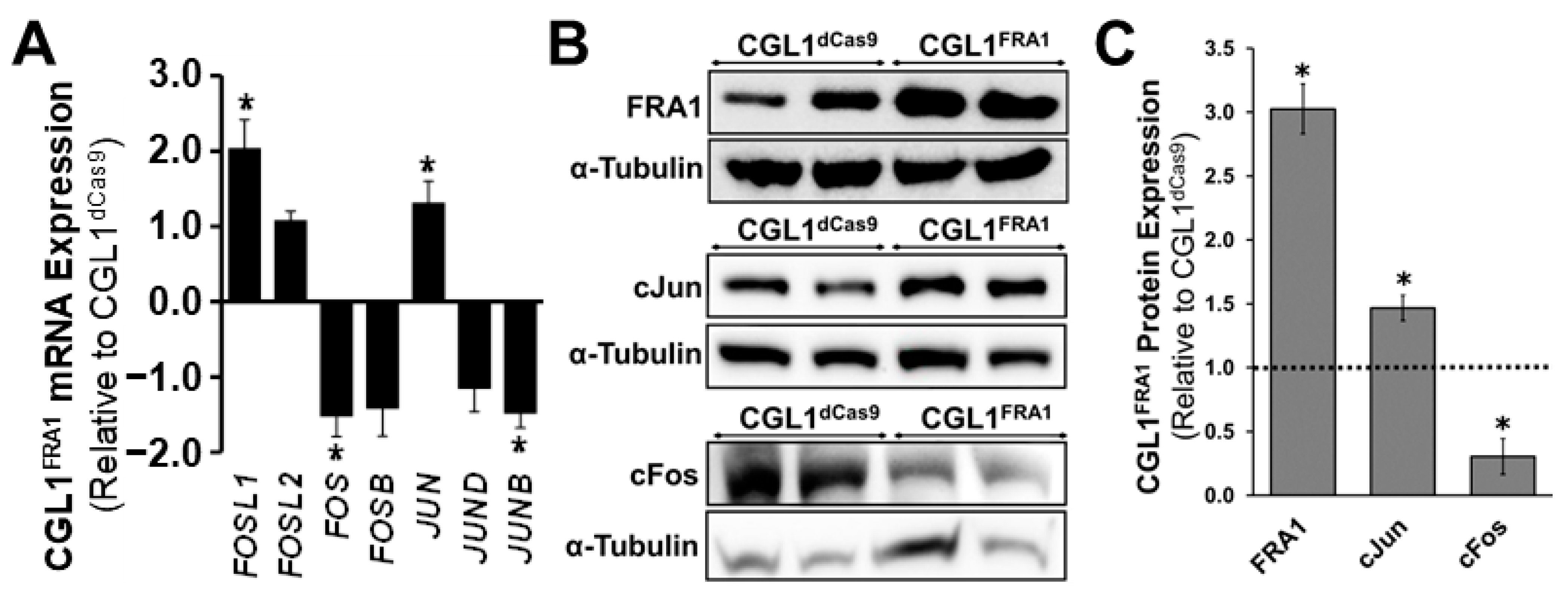 Cells 12 02344 g003 Cells 12 02344 g003