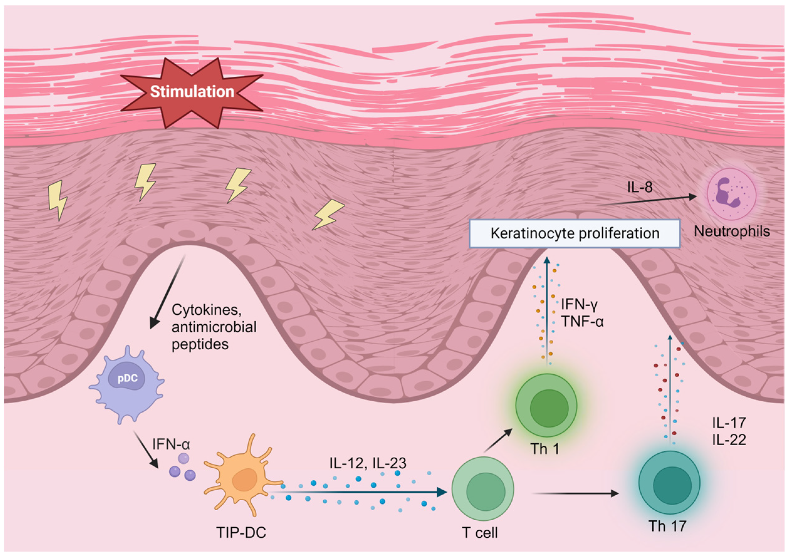 Cells 12 02352 g001 Cells 12 02352 g001