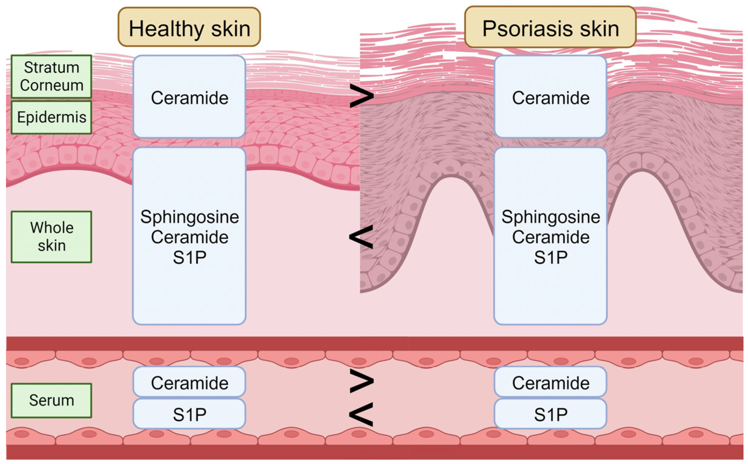 Cells 12 02352 g002 Cells 12 02352 g002