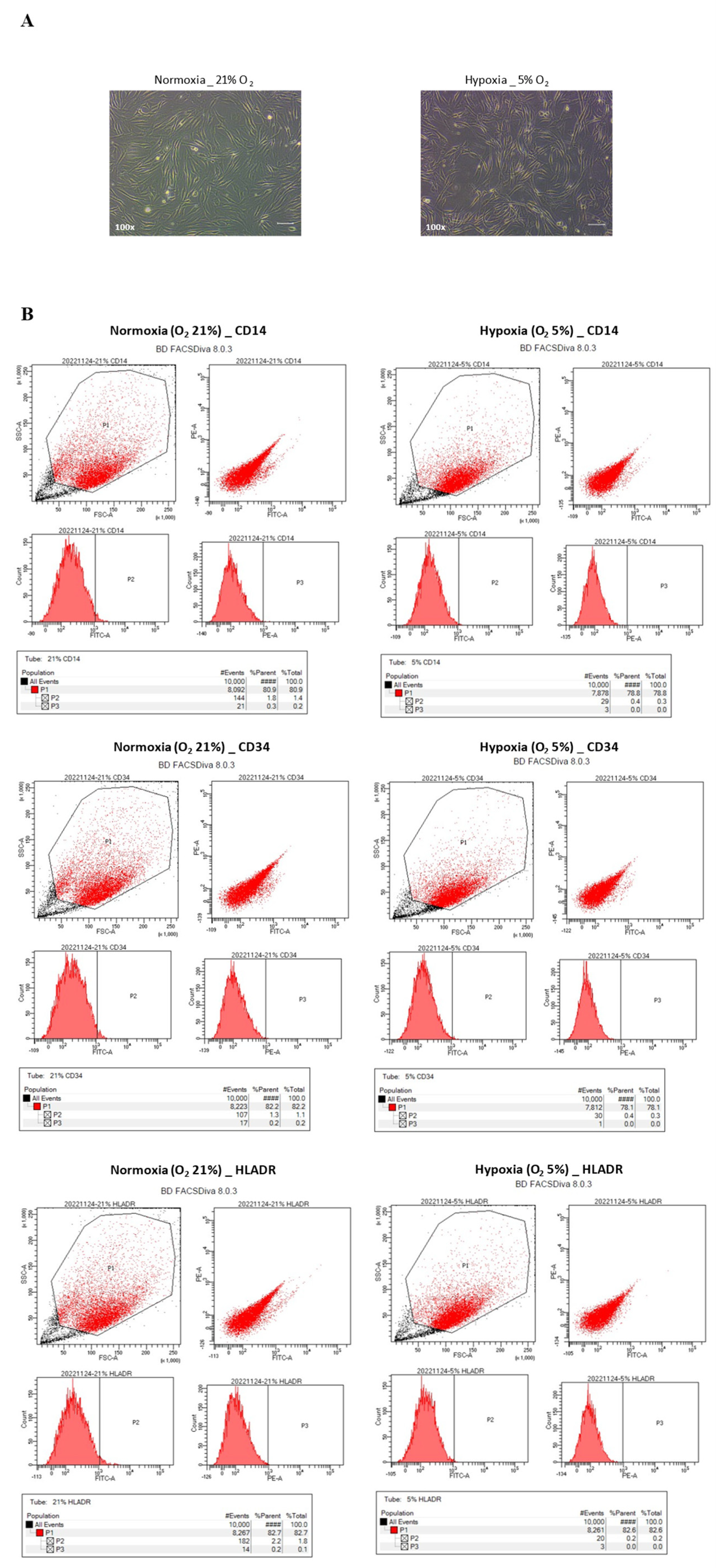 Cells 12 02360 g002a