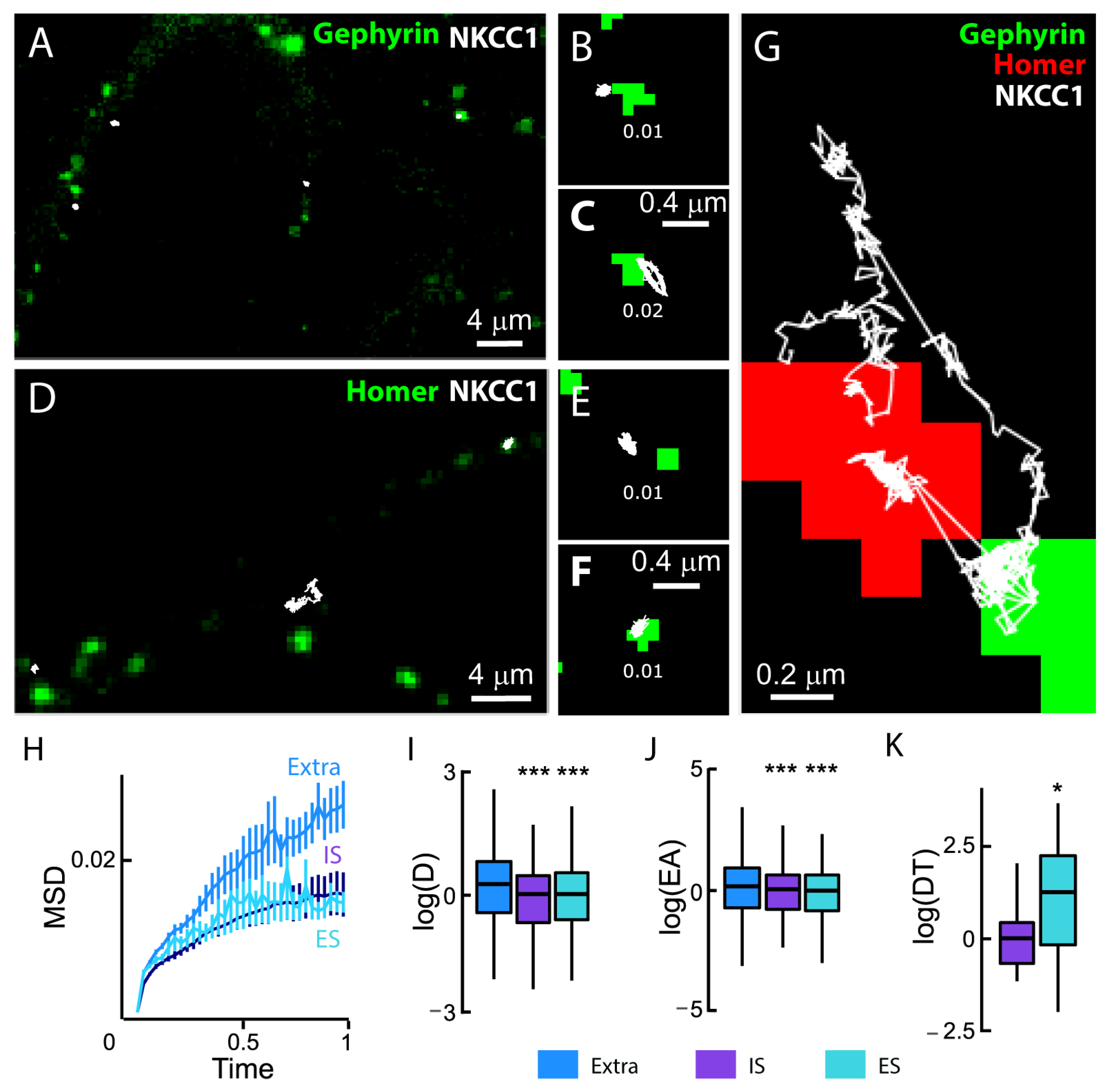 Cells 12 02363 g007 Cells 12 02363 g007
