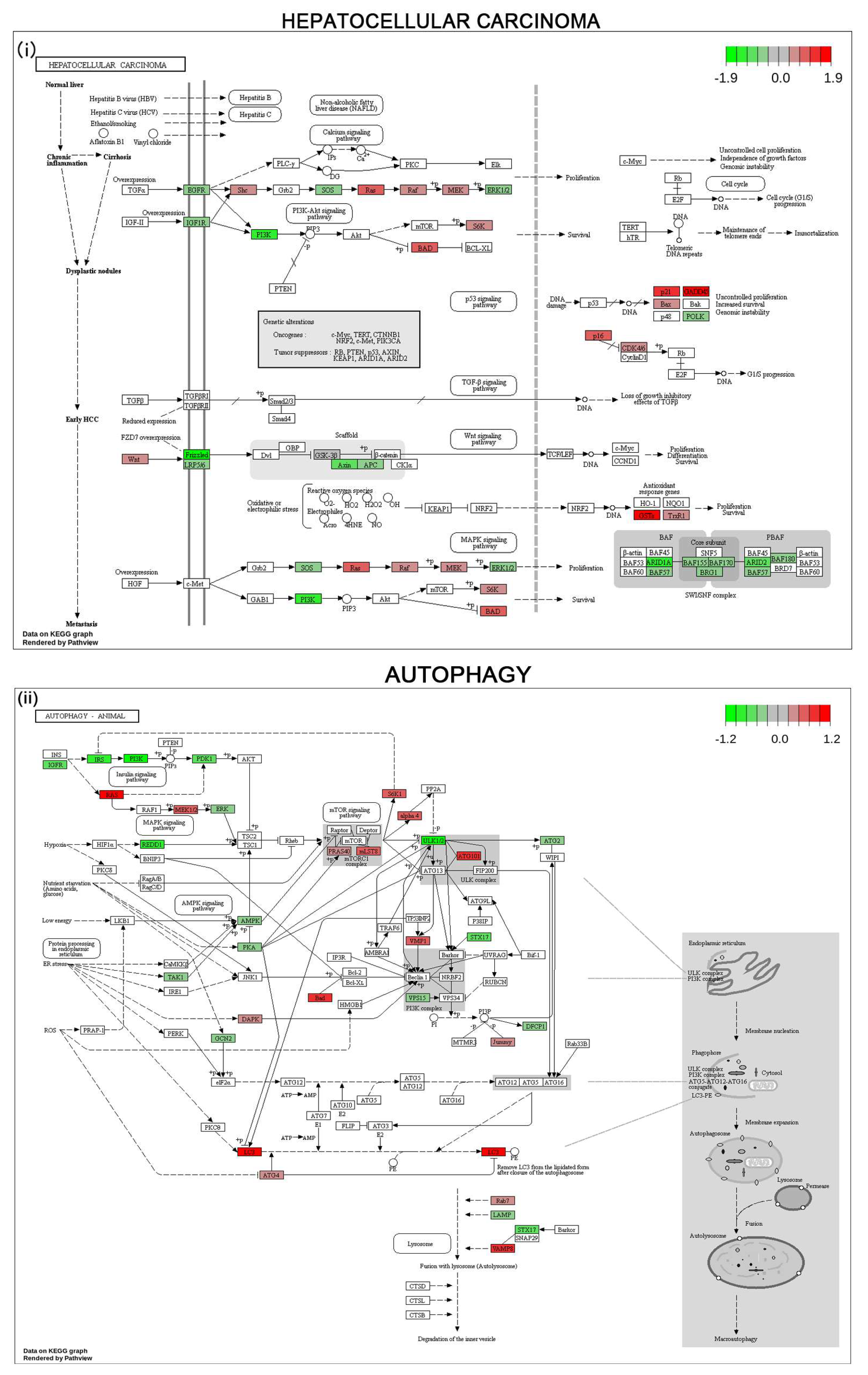Cells 12 02367 g007a