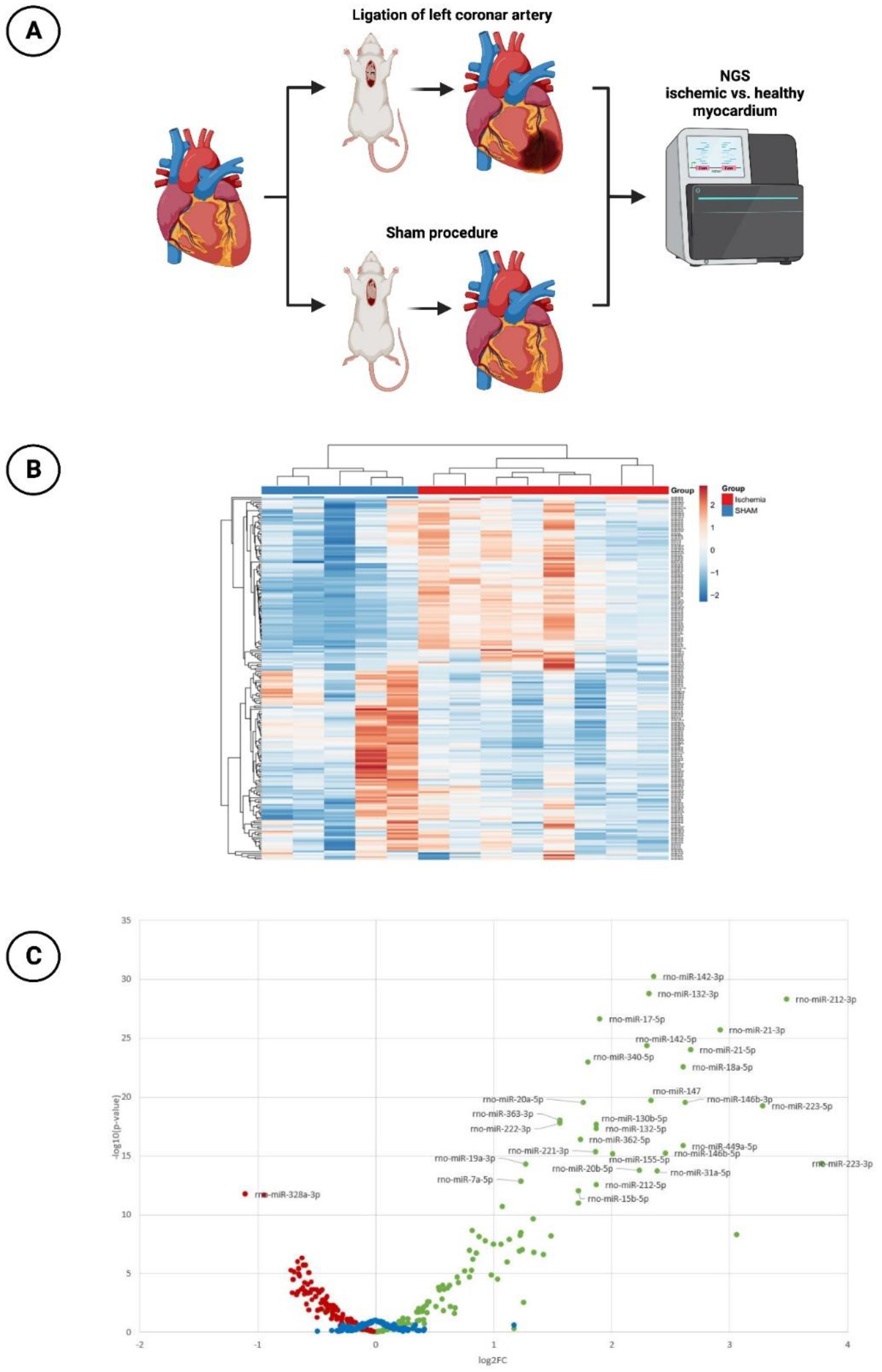 Cells 12 02369 g001 Cells 12 02369 g001
