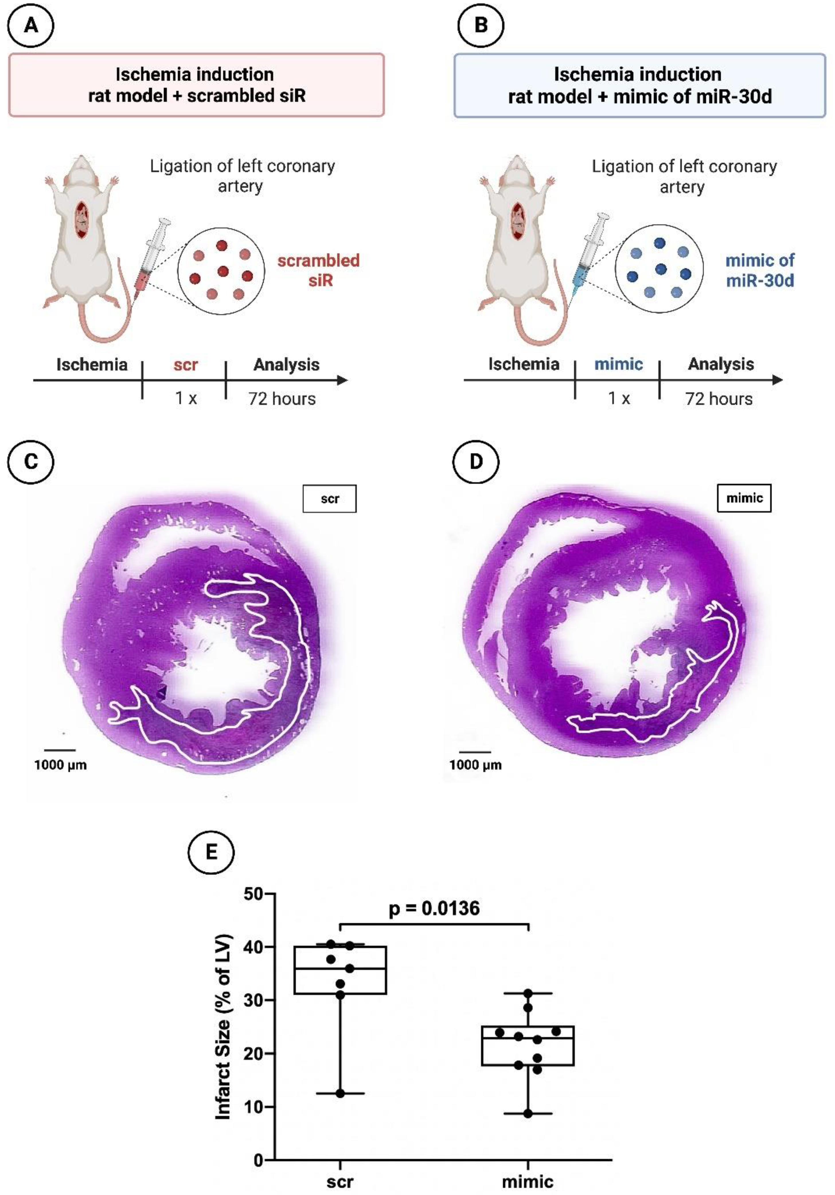 Cells 12 02369 g002 Cells 12 02369 g002