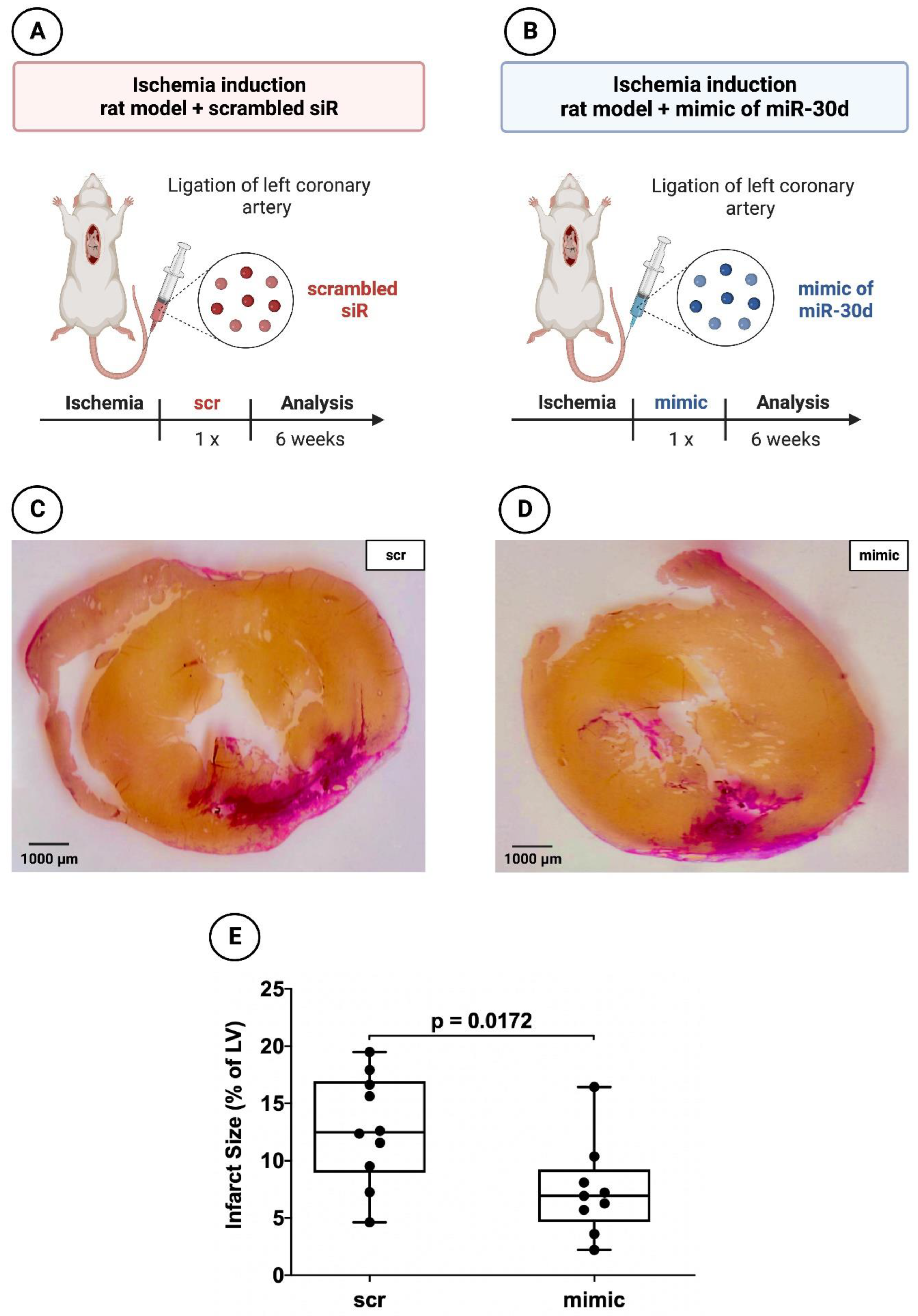 Cells 12 02369 g003 Cells 12 02369 g003