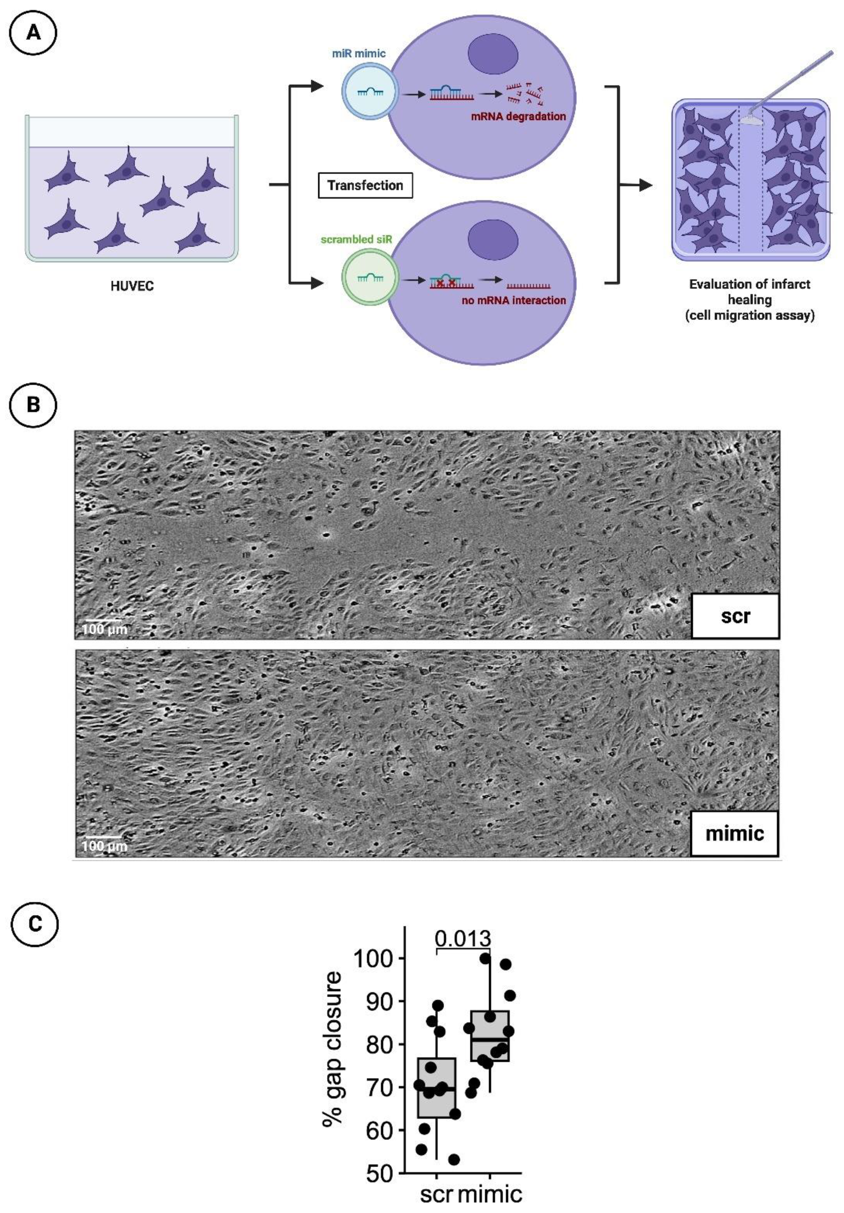 Cells 12 02369 g004 Cells 12 02369 g004