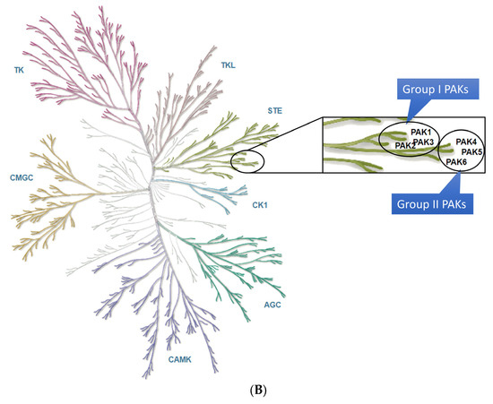 Cells 12 02373 g002b