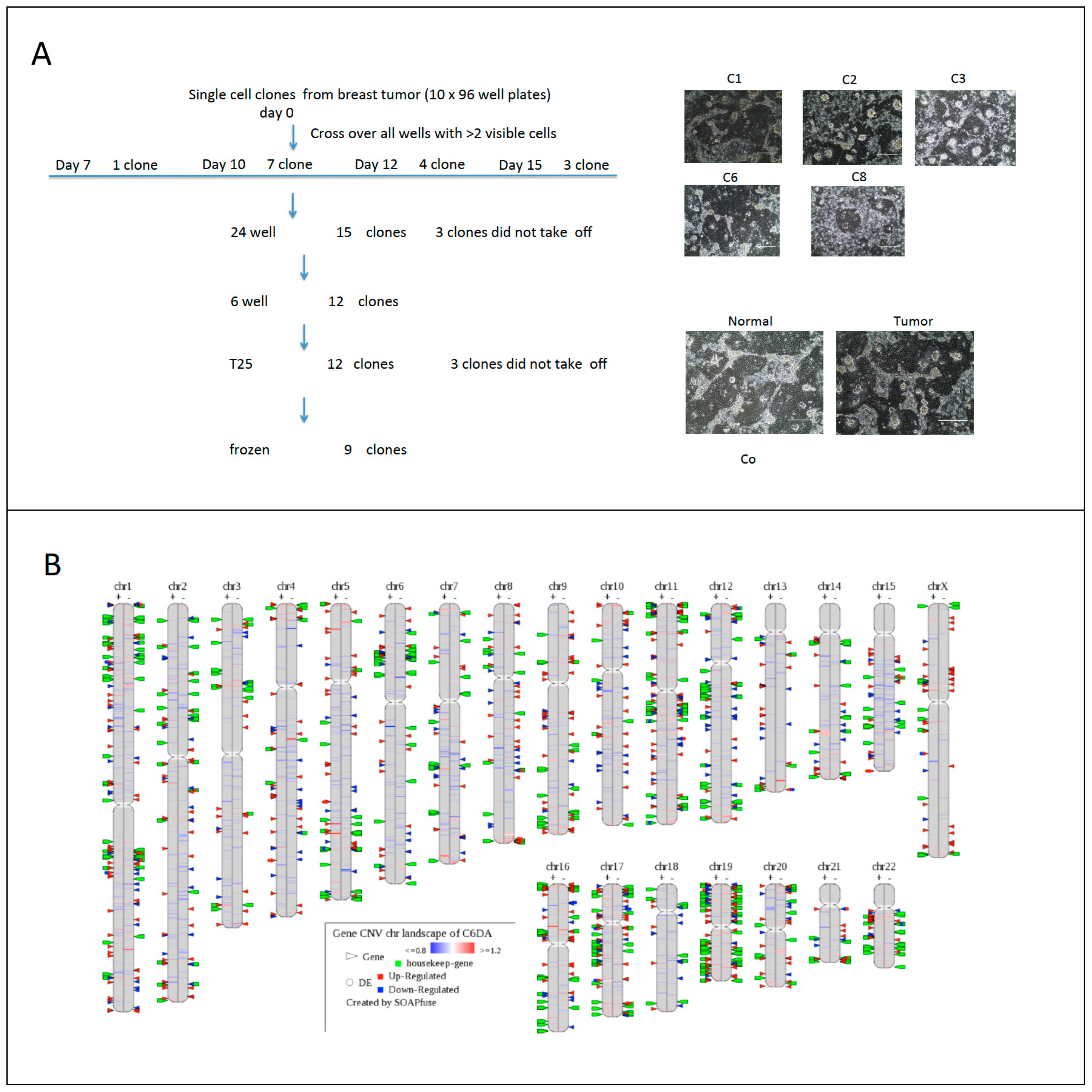 Cells 12 02388 g004a Cells 12 02388 g004a