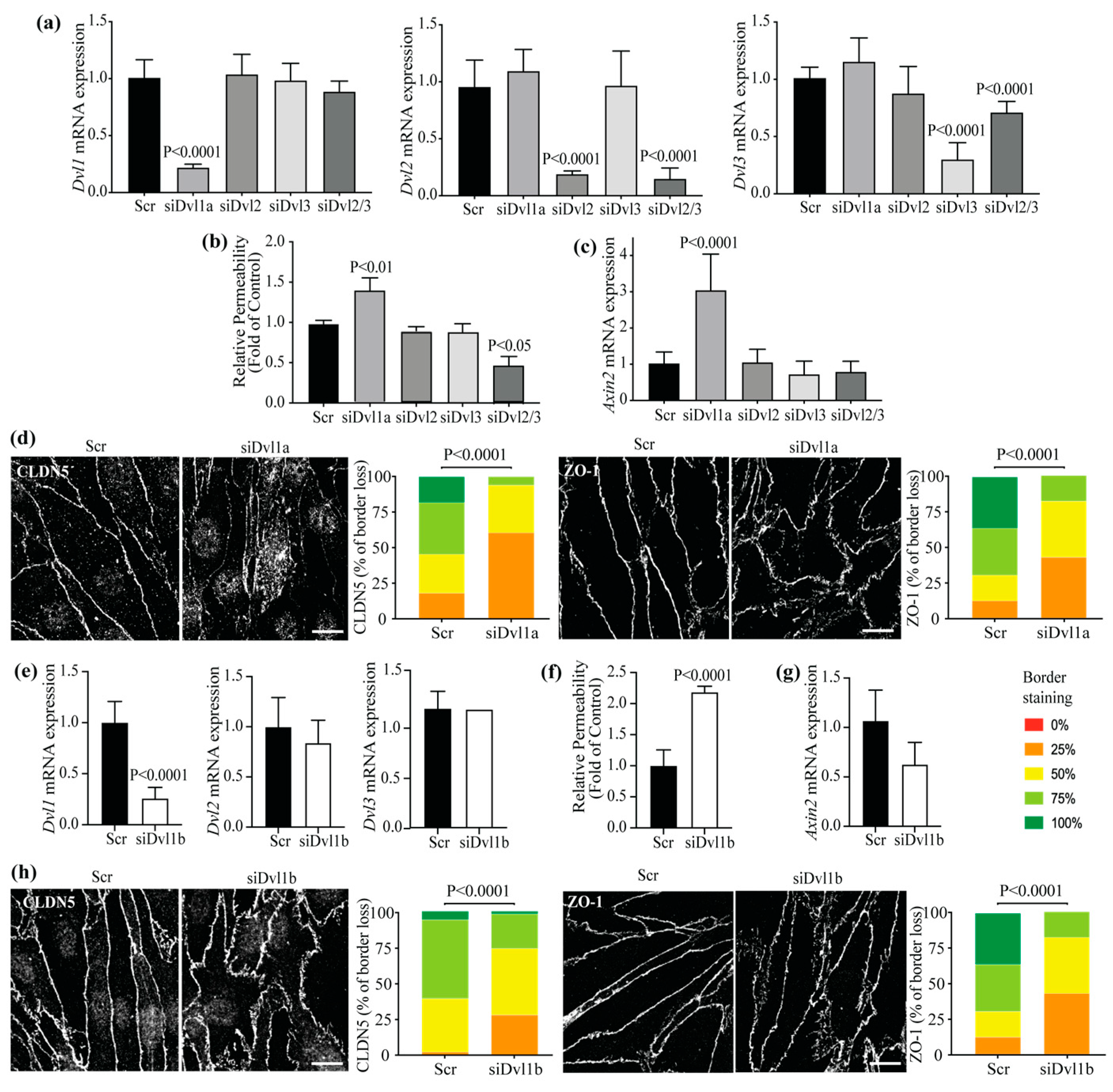 Cells 12 02402 g002