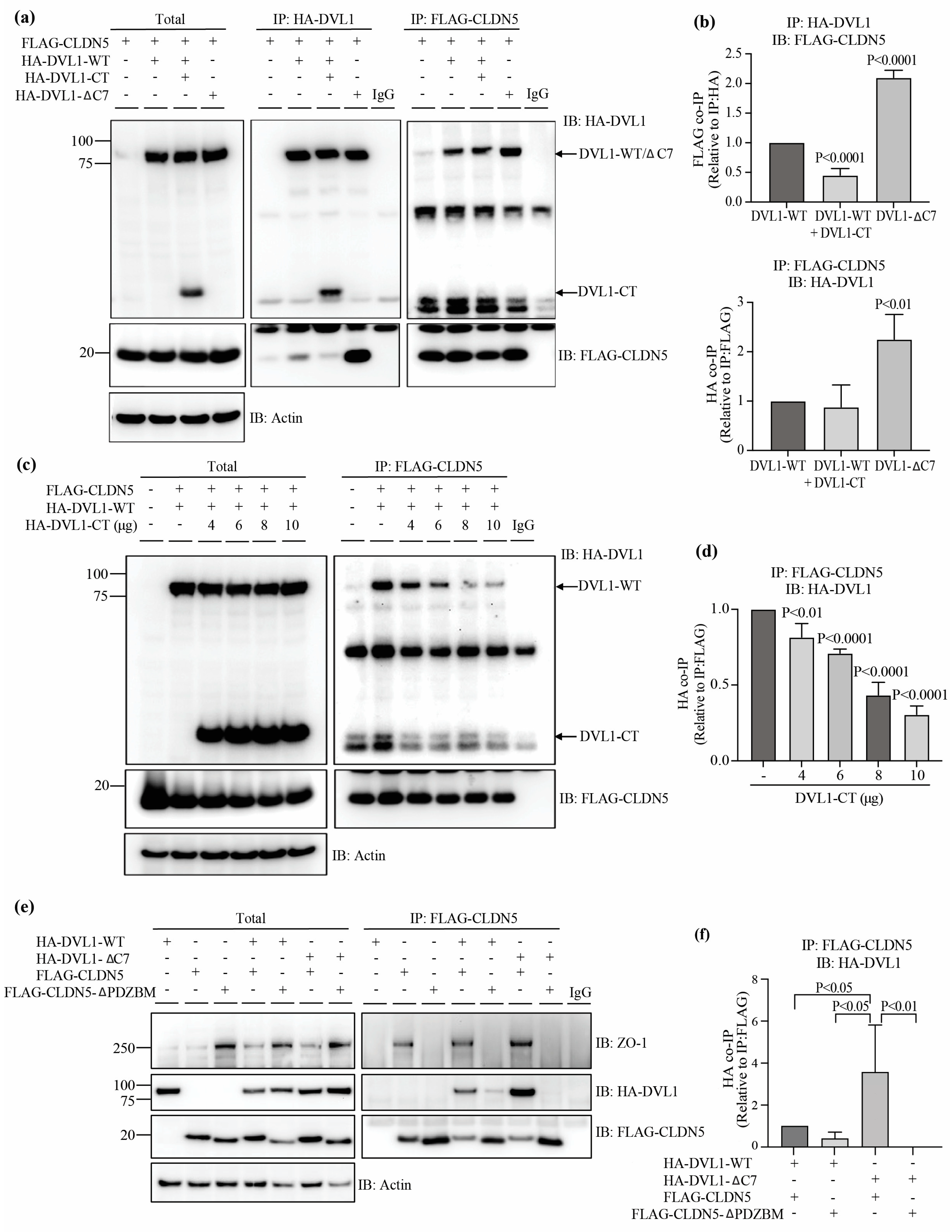 Cells 12 02402 g005