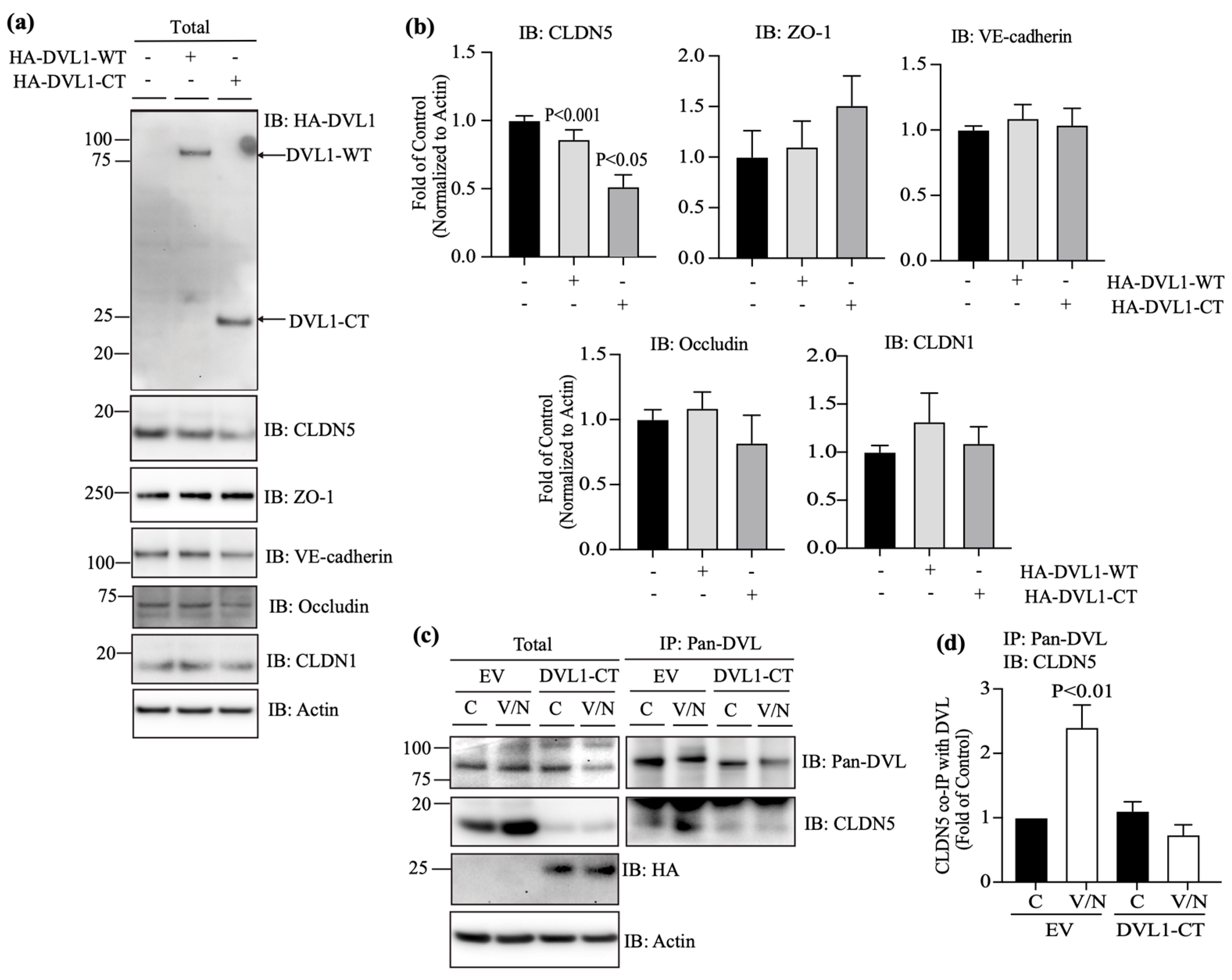 Cells 12 02402 g006